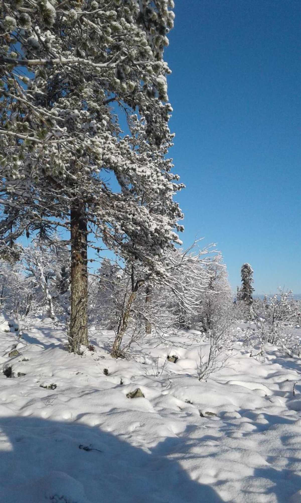 Gift card for Apartment Seita