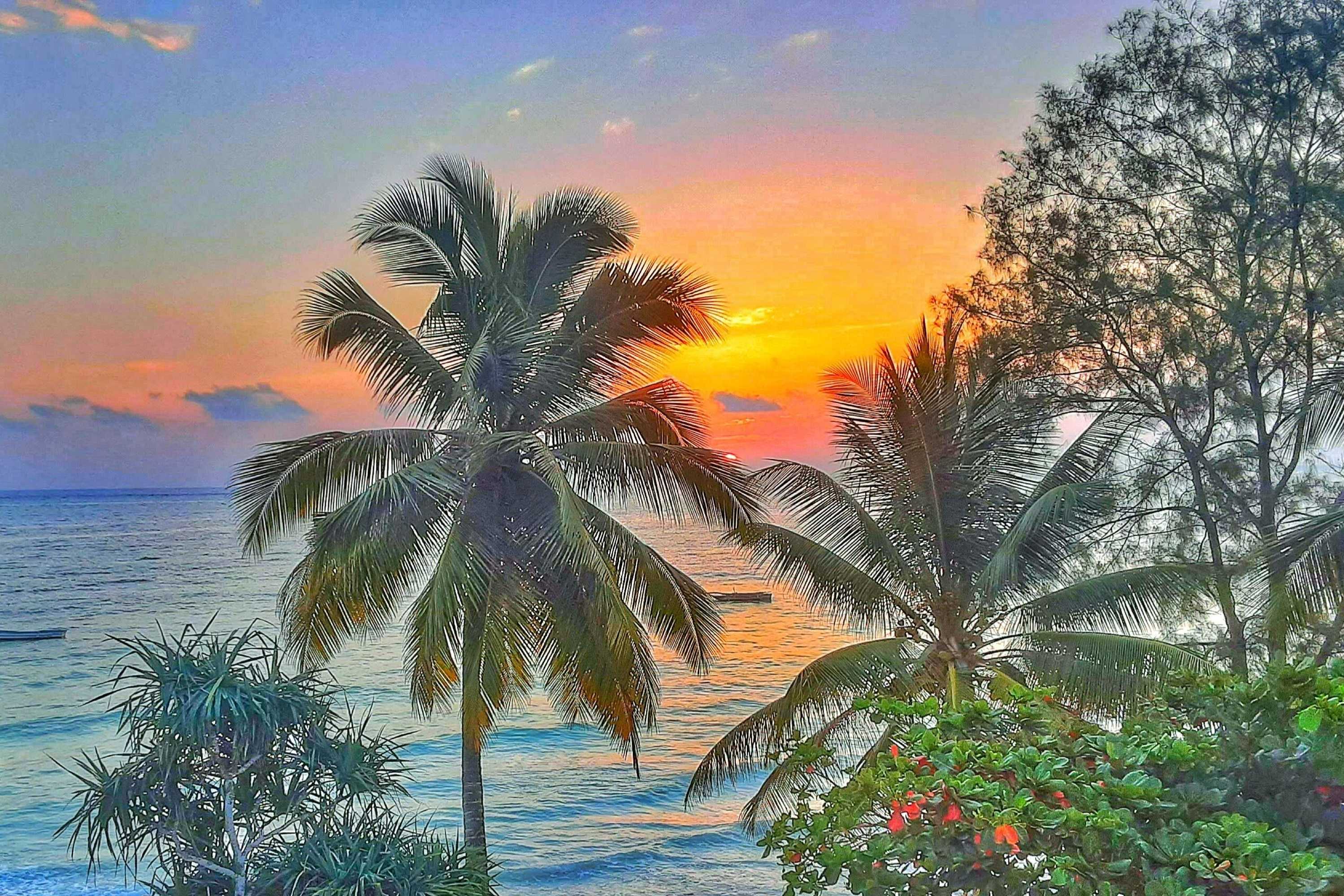 Gift card for Ayla Beach House Gift card for Ayla Beach House