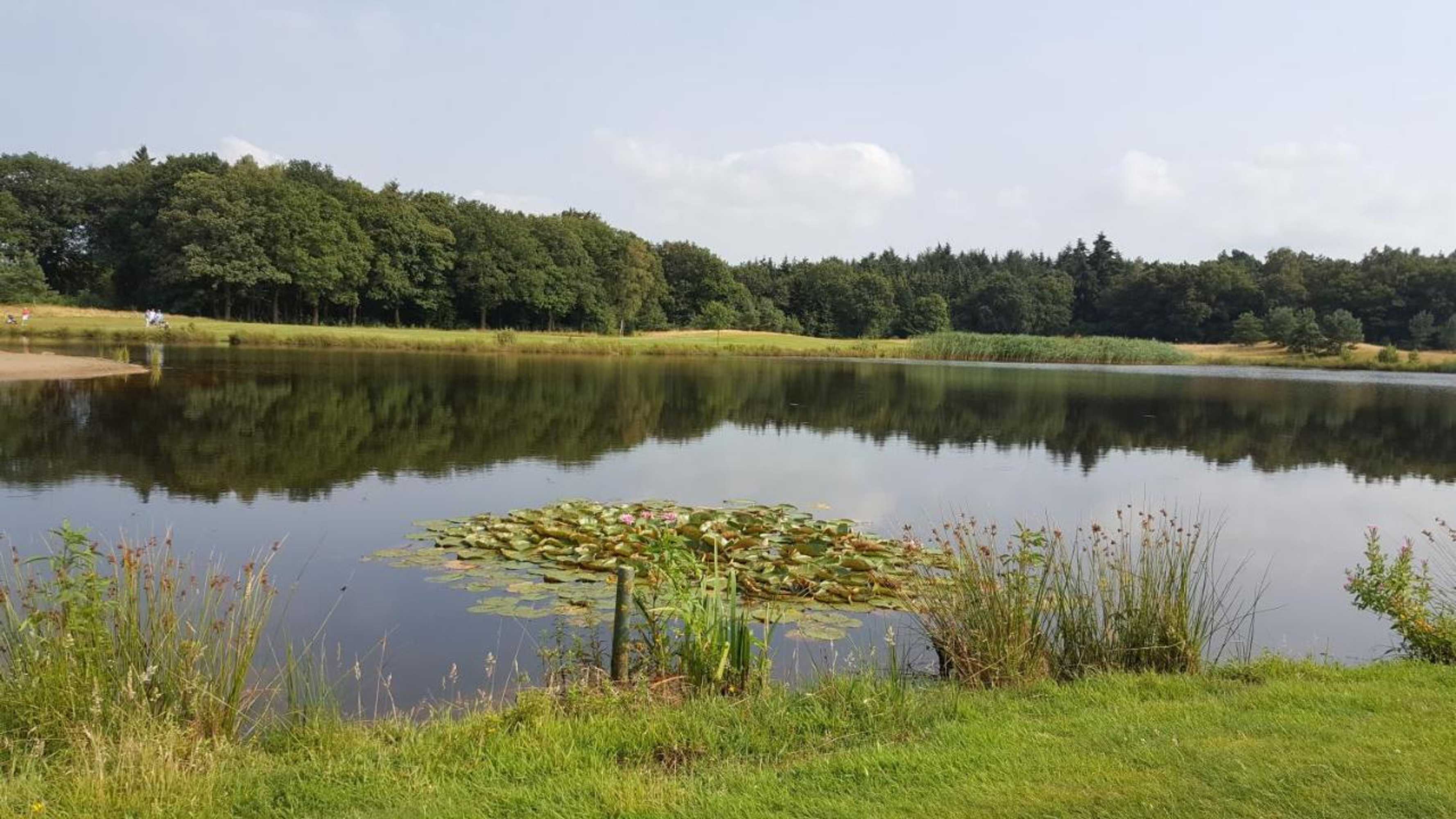 Gift card for Logies Angelbeeck