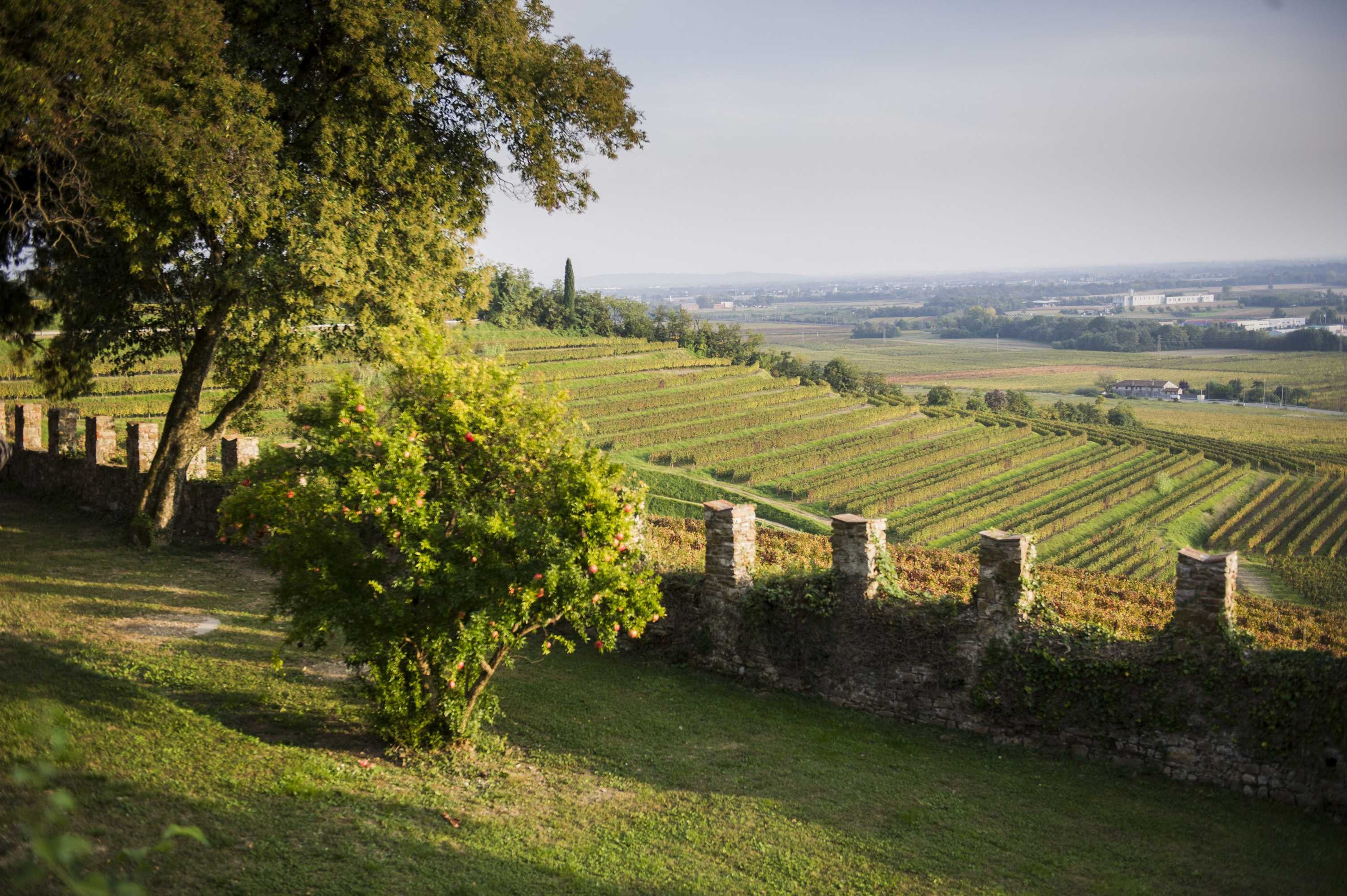 Gift card for Castello di Buttrio Gift card for Castello di Buttrio