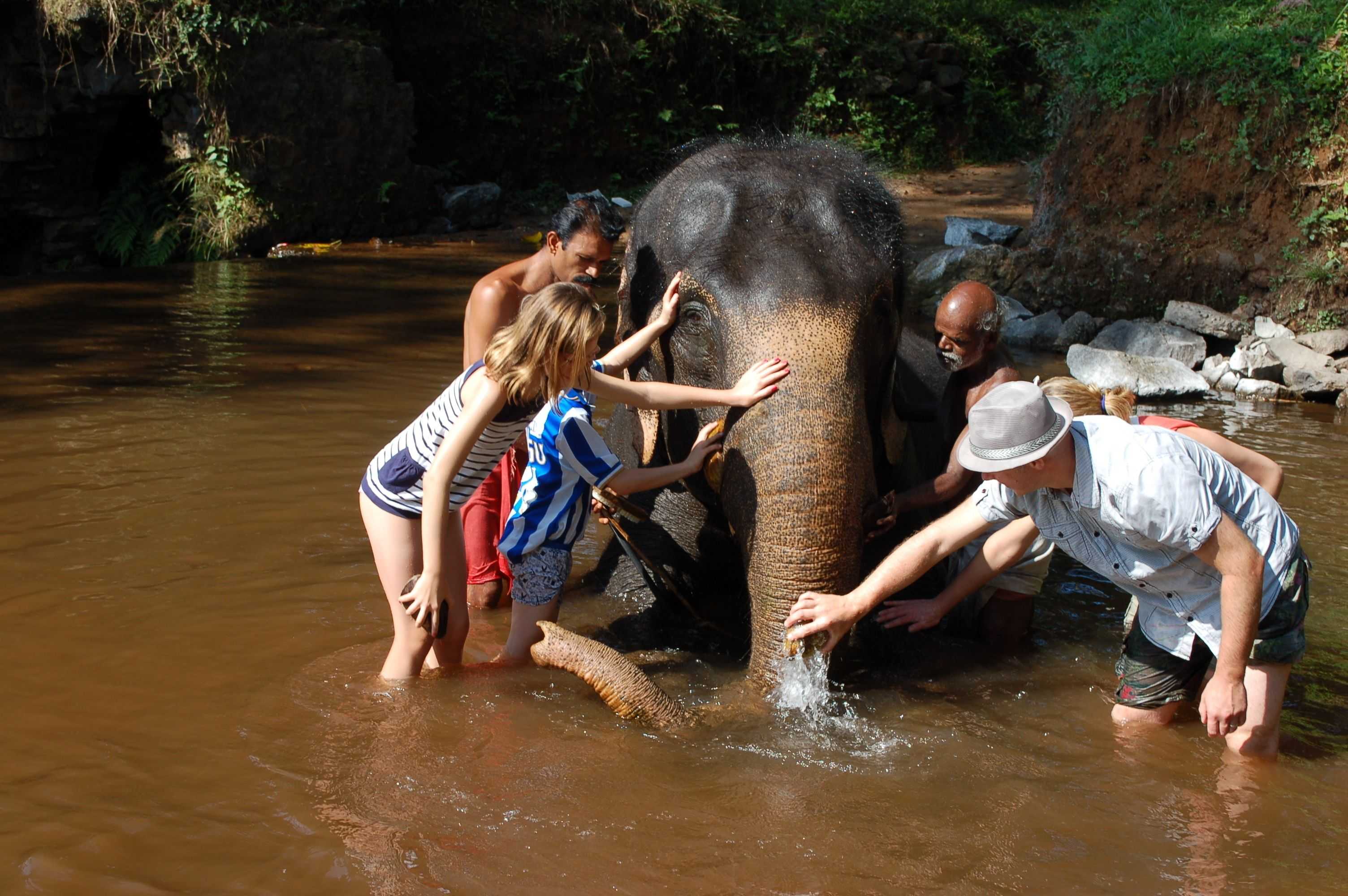 Gift card for Mannaas Veedu Retreat & Spa