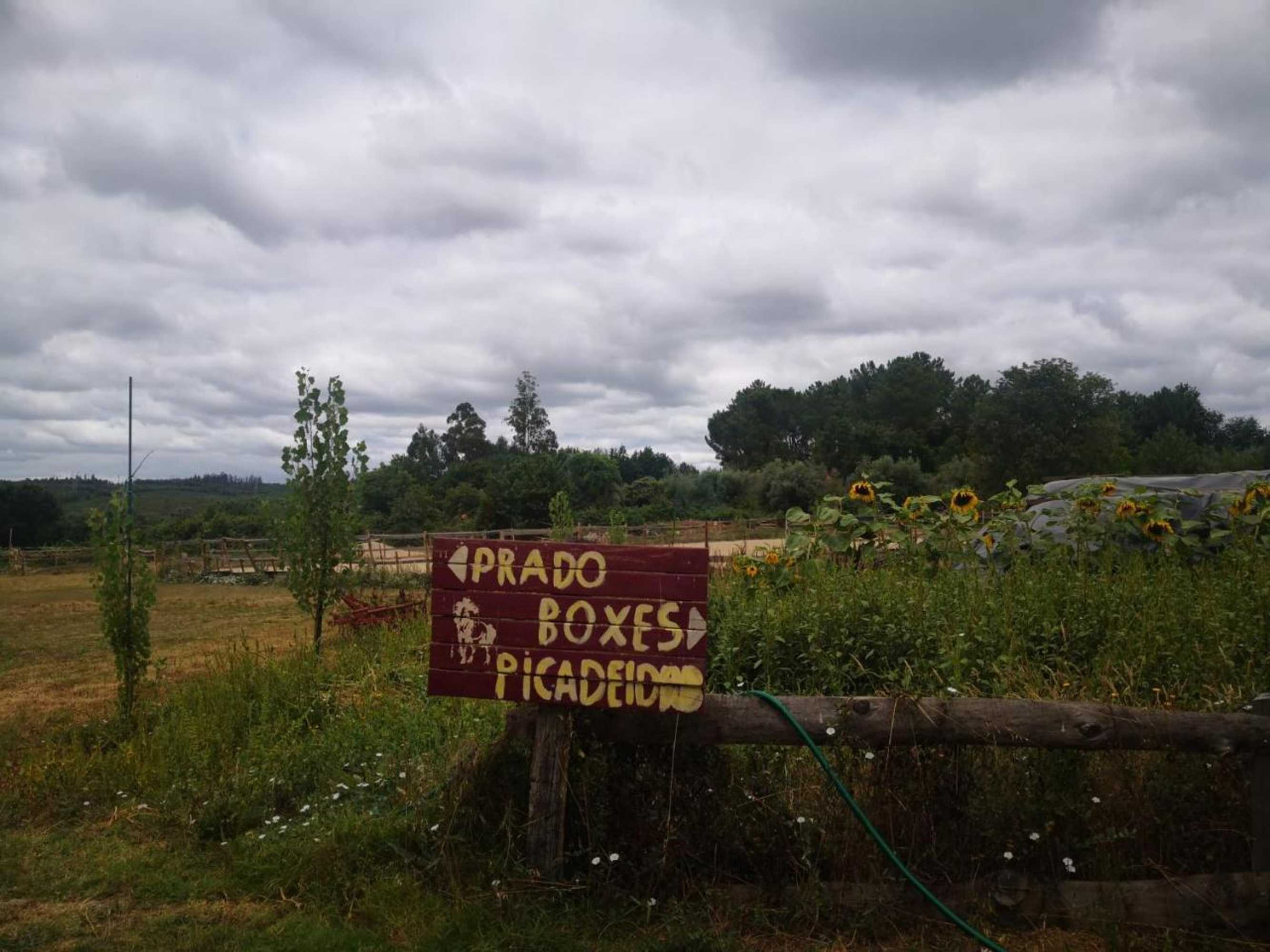 Gift card for Casa do Tio João