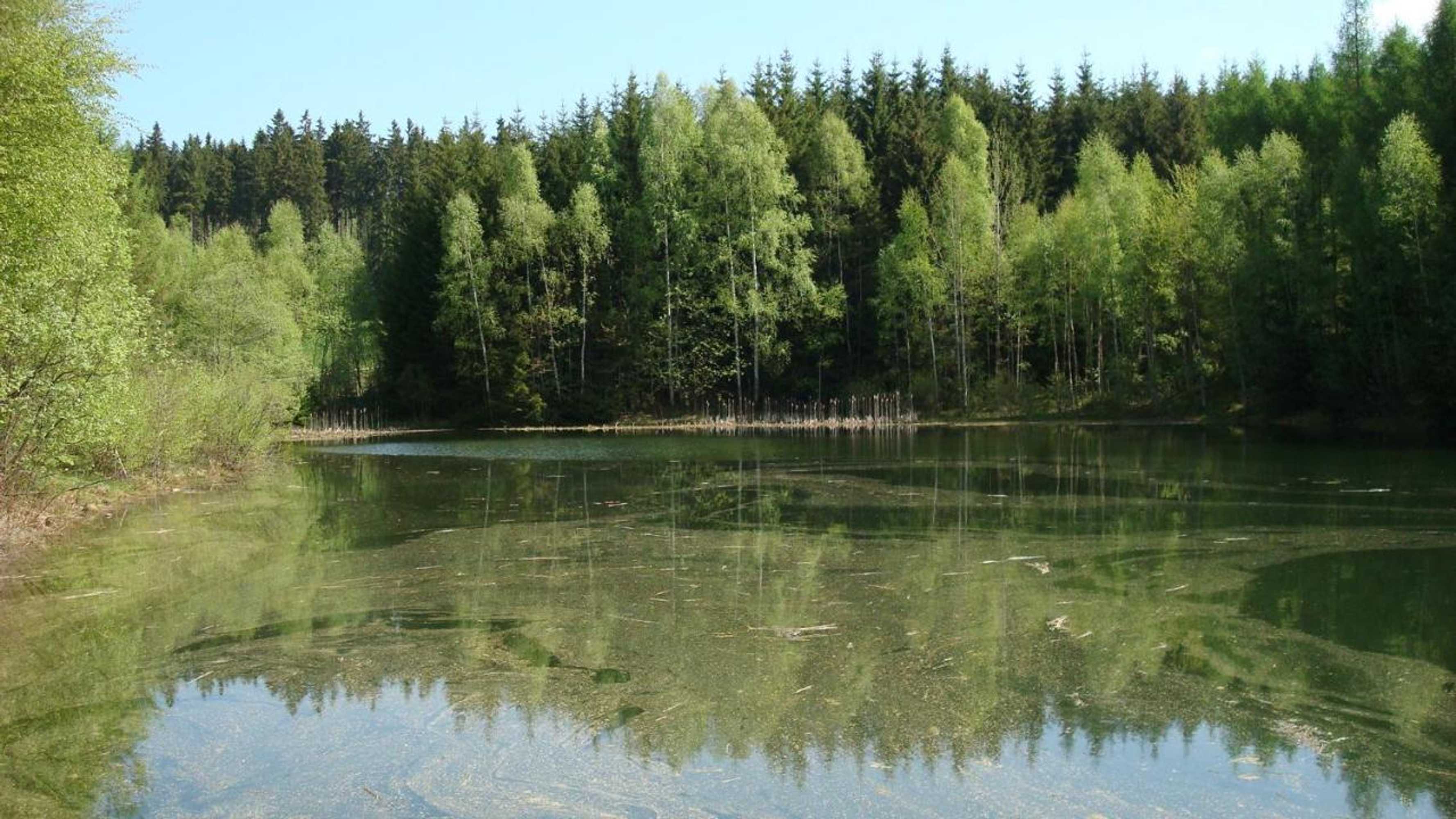 Gift card for Pension Berghof