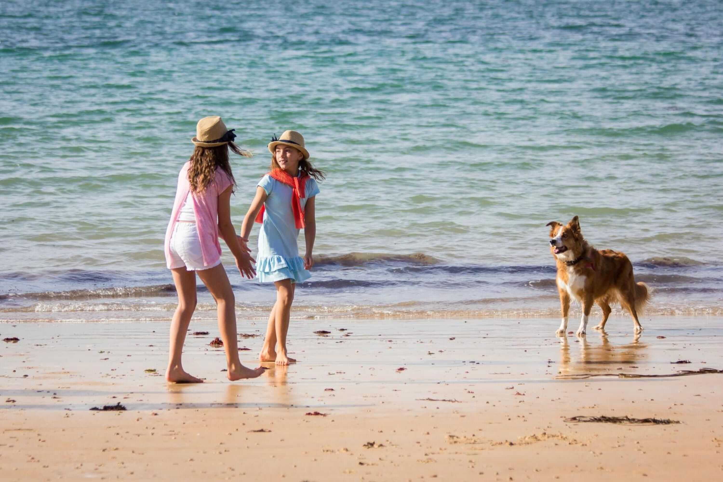 Gift card for The Bay Colwell Gift card for The Bay Colwell