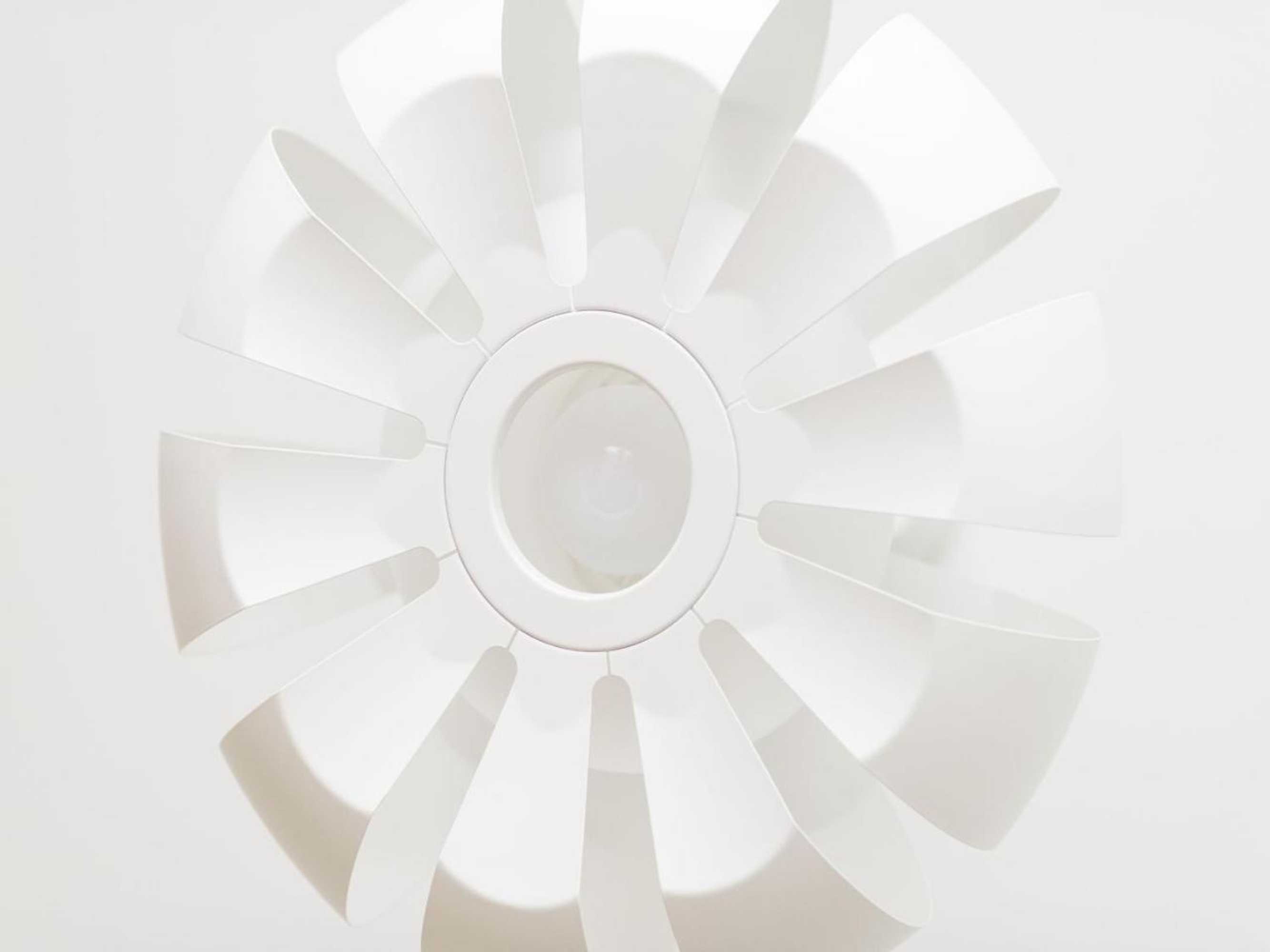 Gift card for Webers 