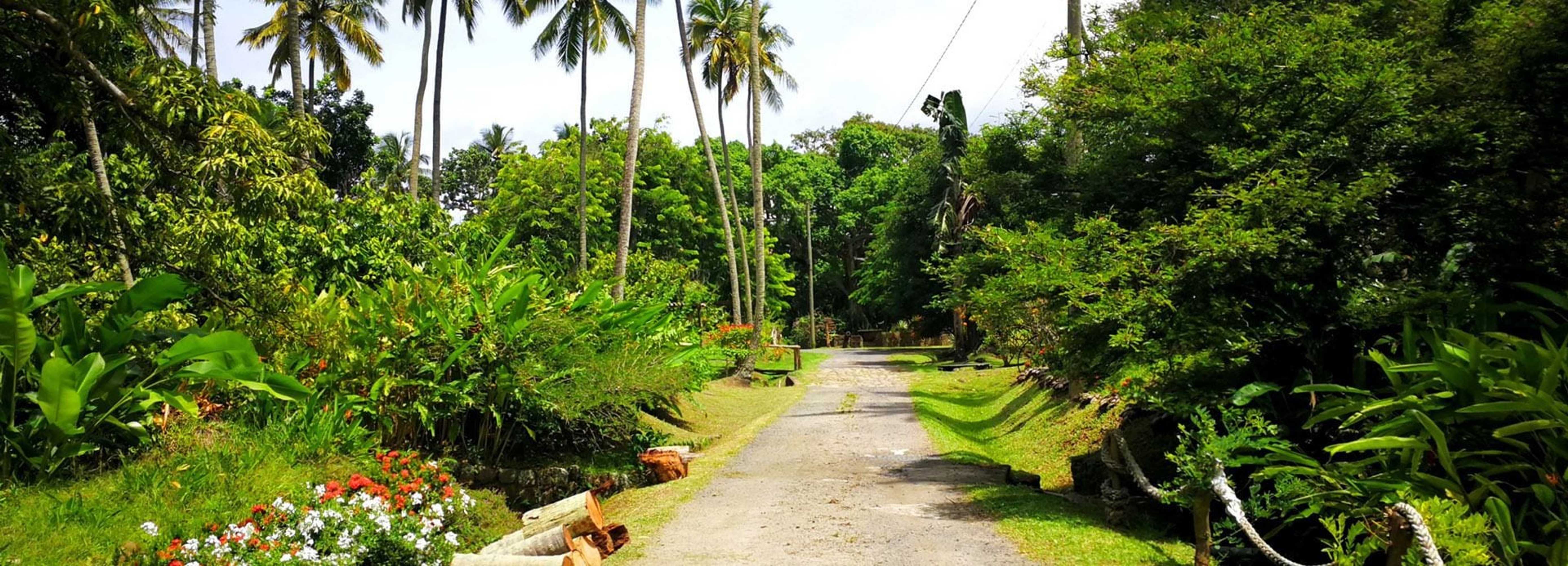 Gift card for The Still Beach House