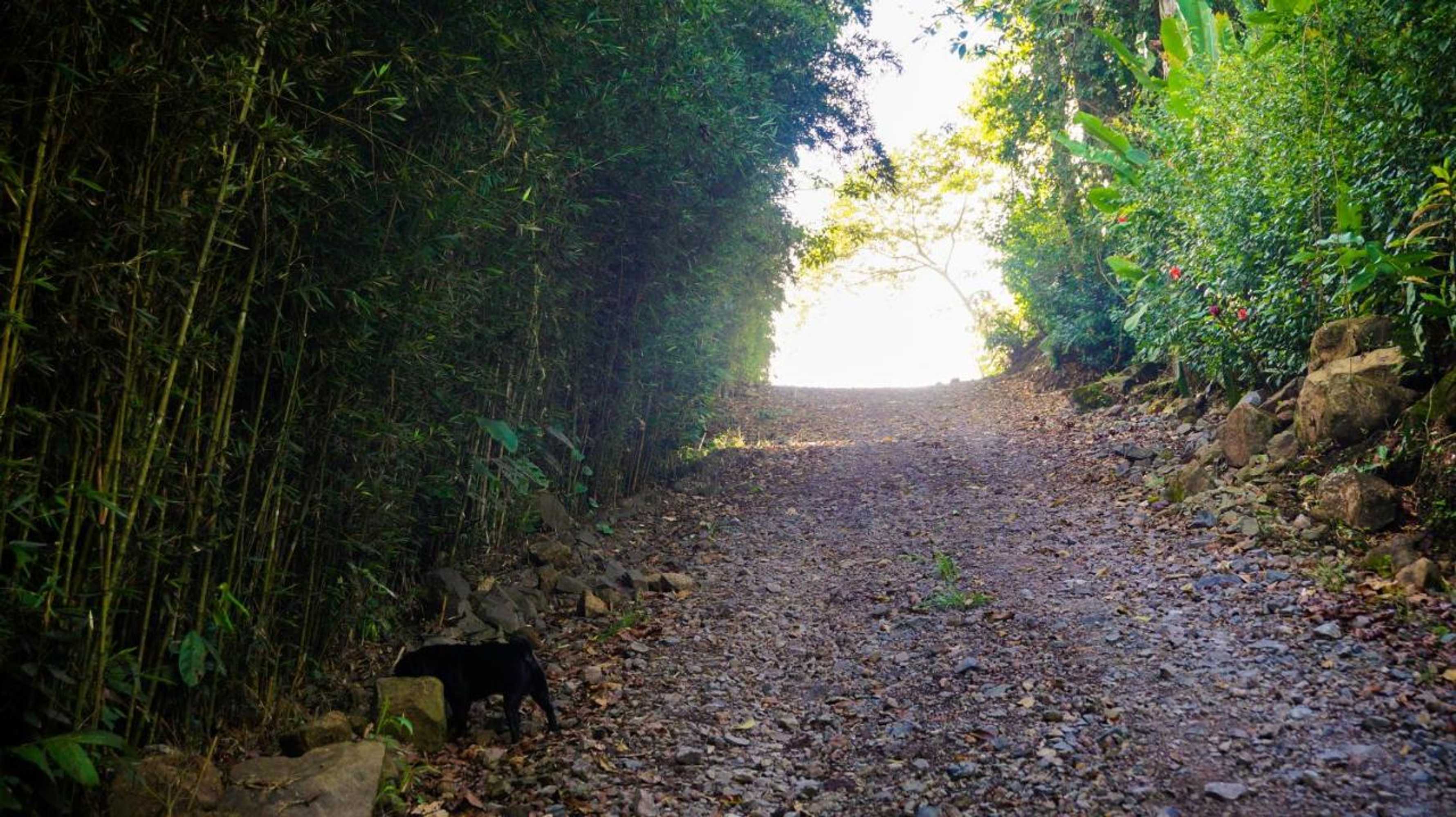 Gift card for Hospedaje La Naciente