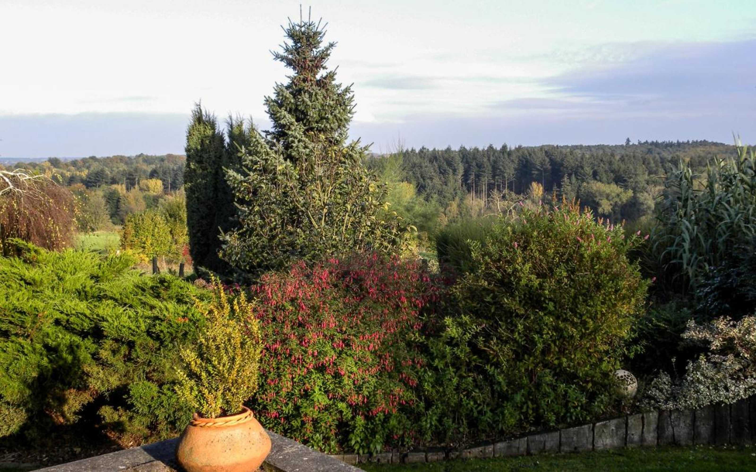 Gift card for B&b Plattestien