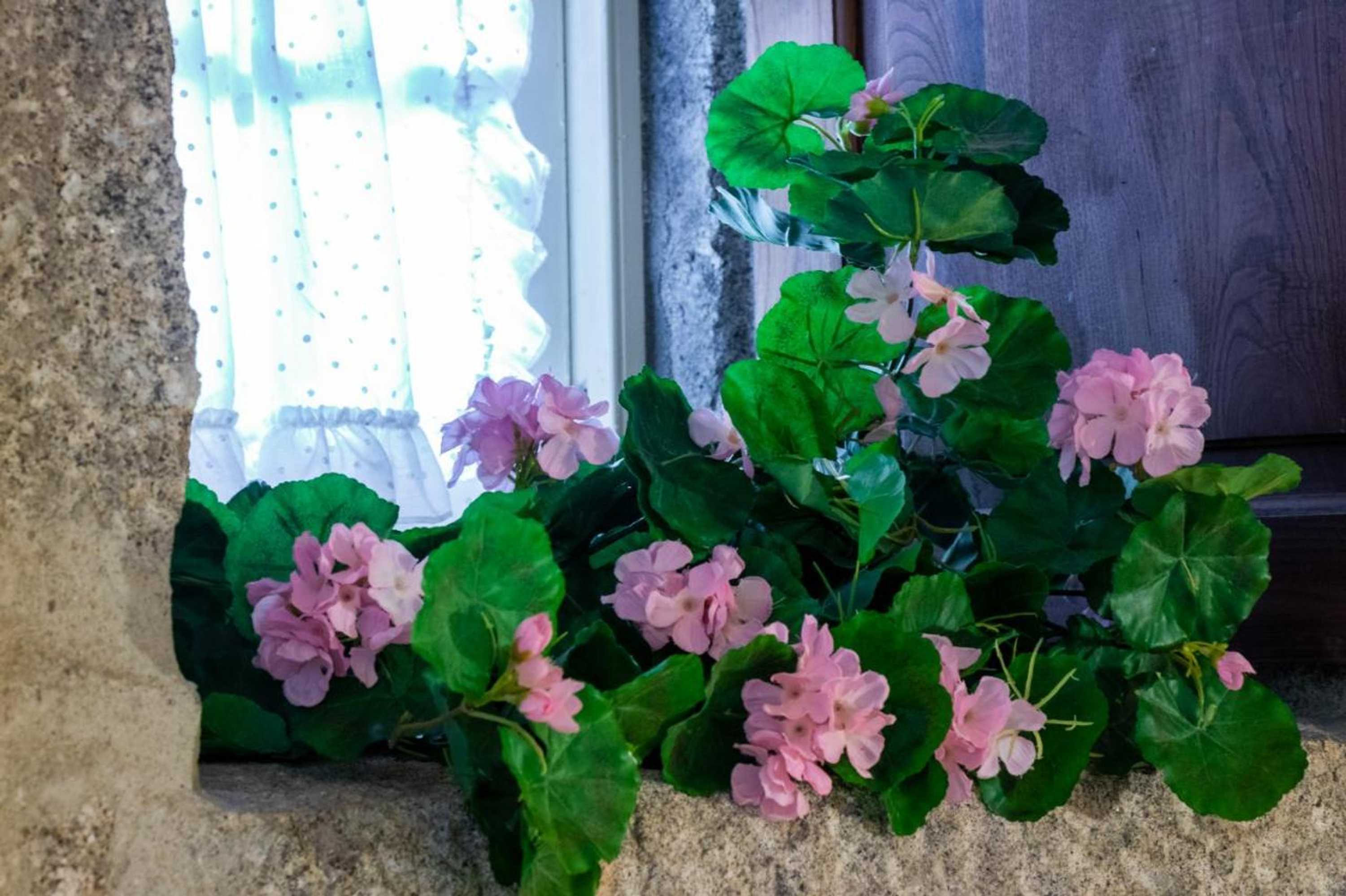 Gift card for Quinta de S.vicente