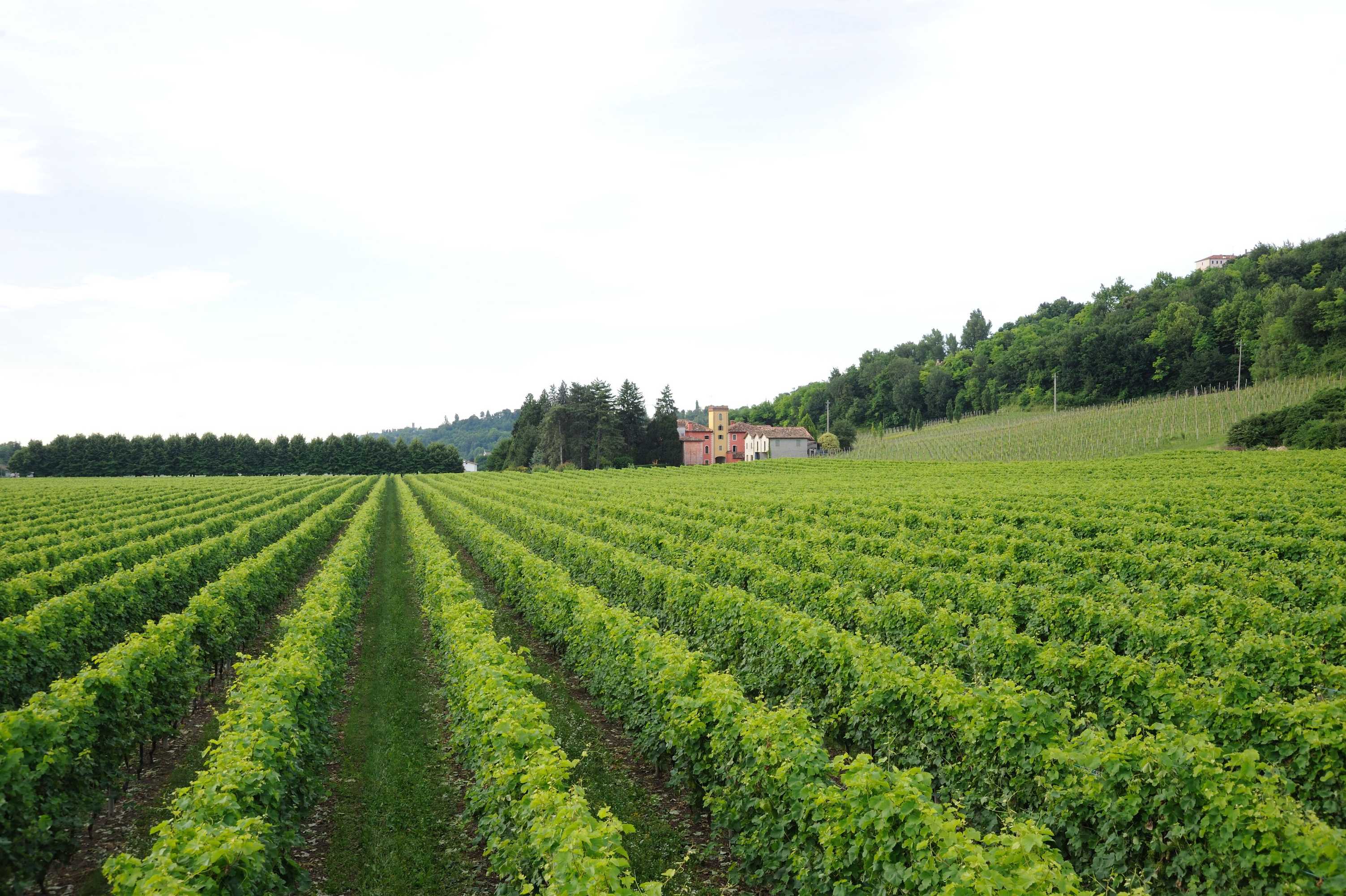 Gift card for Villa Clementina - Prosecco Country Hotel Gift card for Villa Clementina - Prosecco Country Hotel