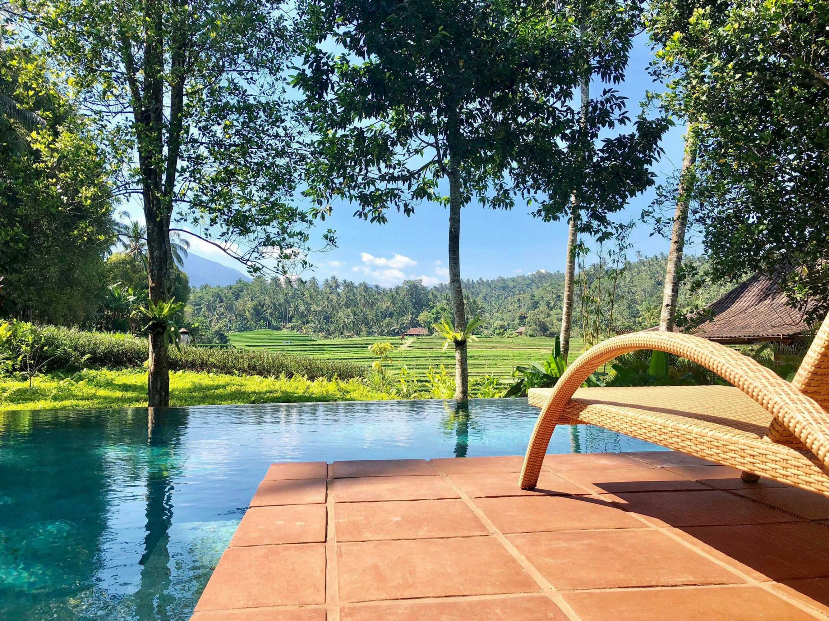 Gift card for Clove Tree Hill