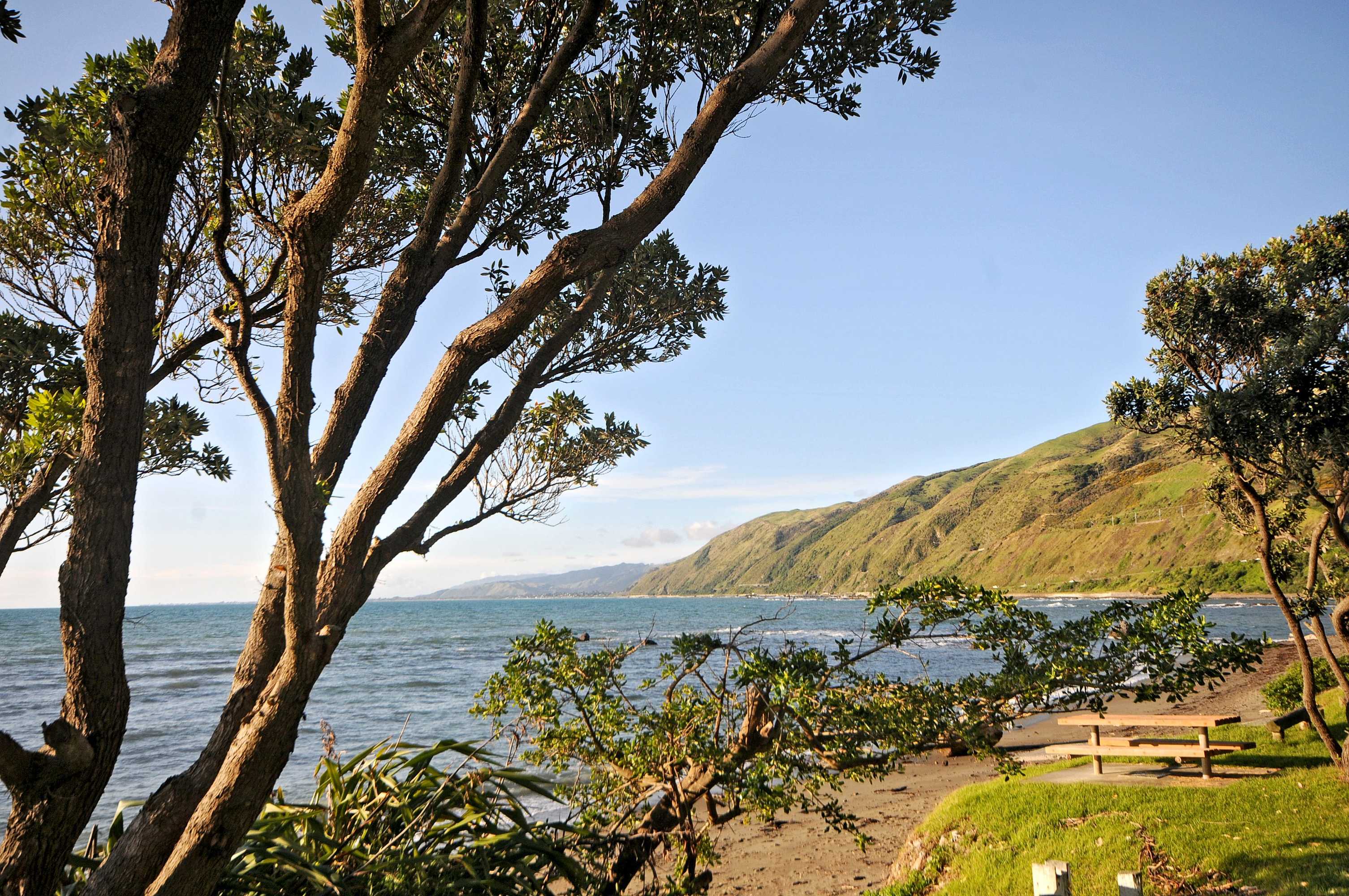 Gift card for Kapiti Waves Bed & Breakfast Gift card for Kapiti Waves Bed & Breakfast