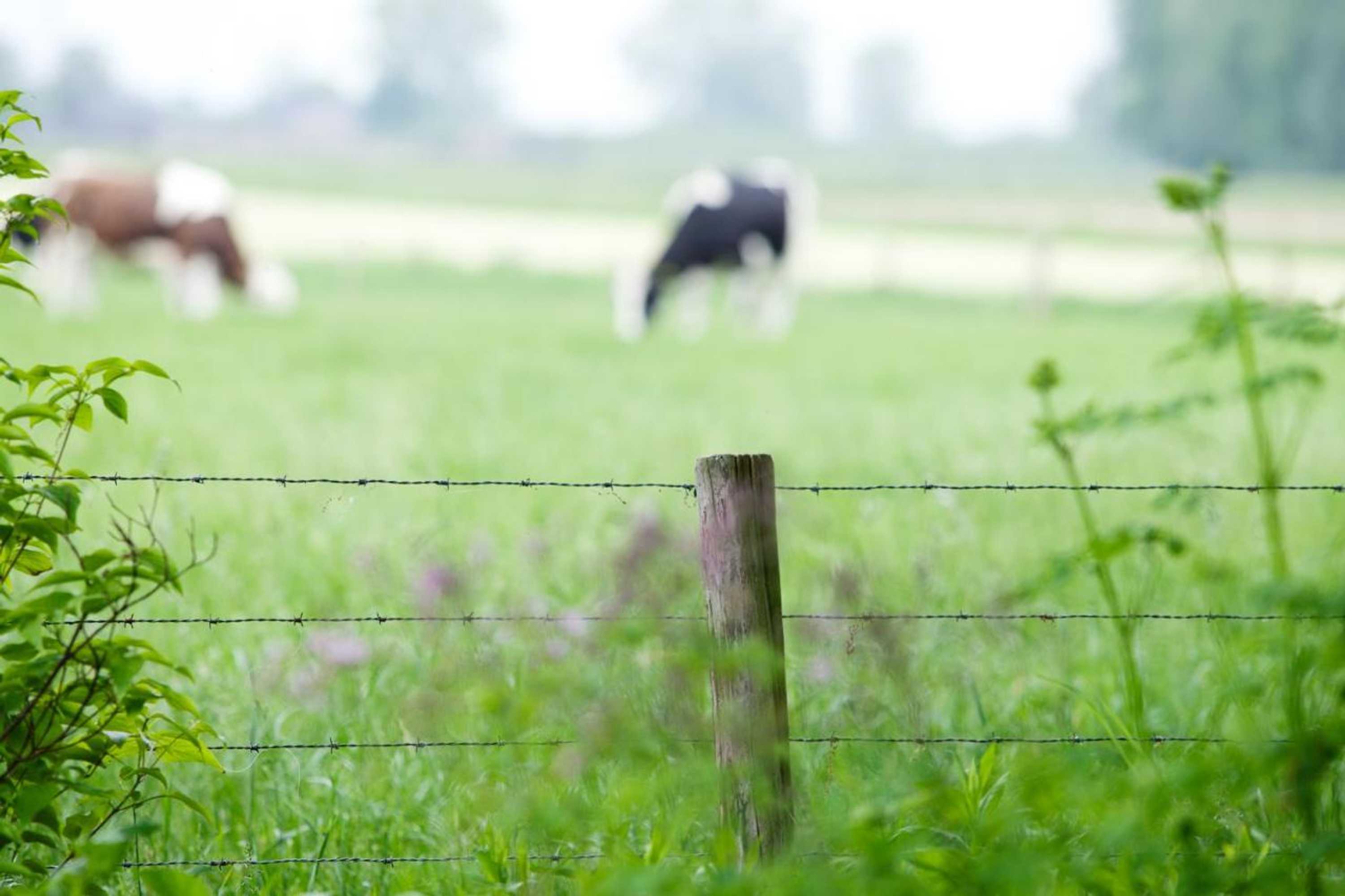 Gift card for B & B De Lorijn