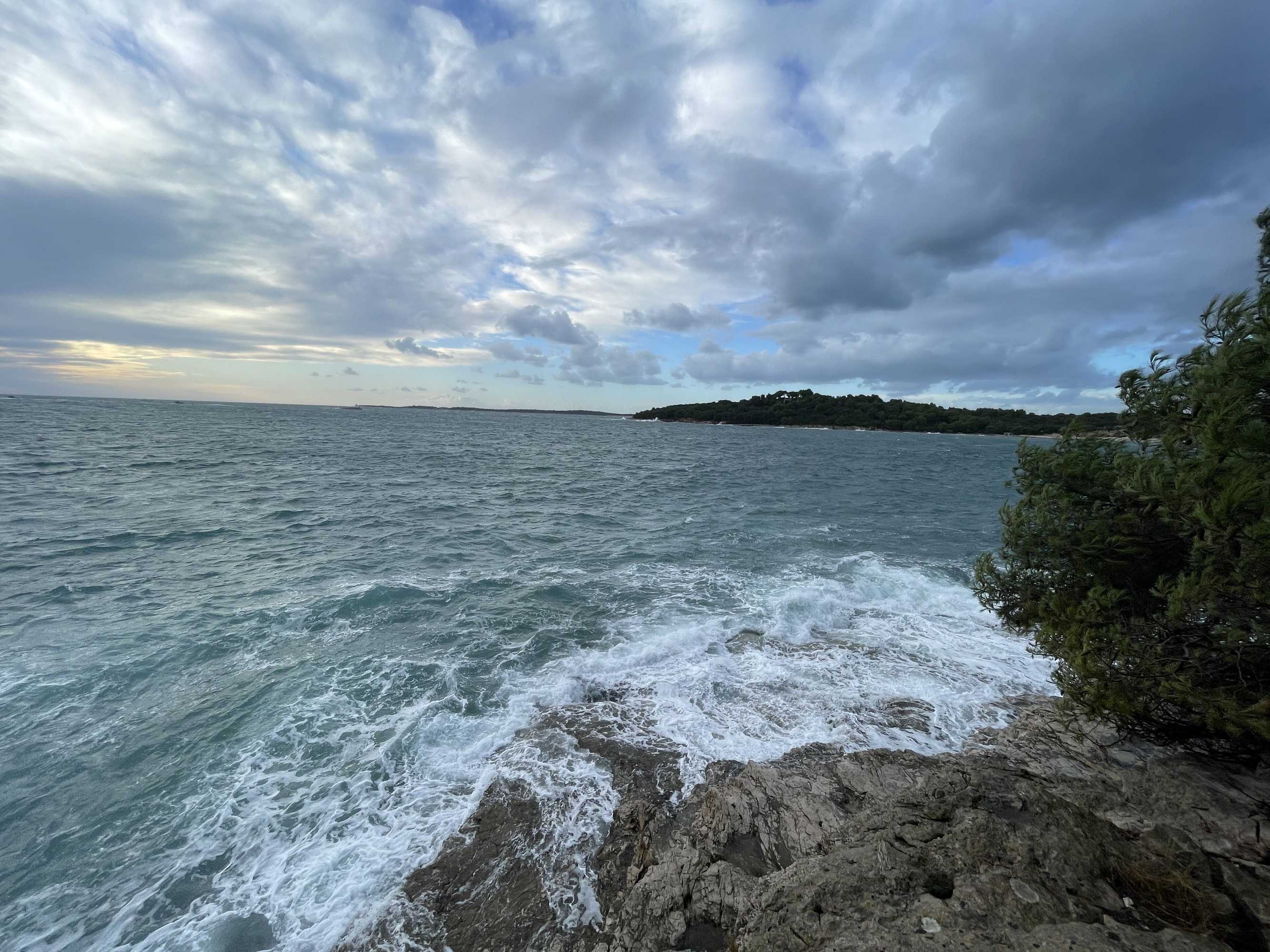 Gift card for B&b L.d