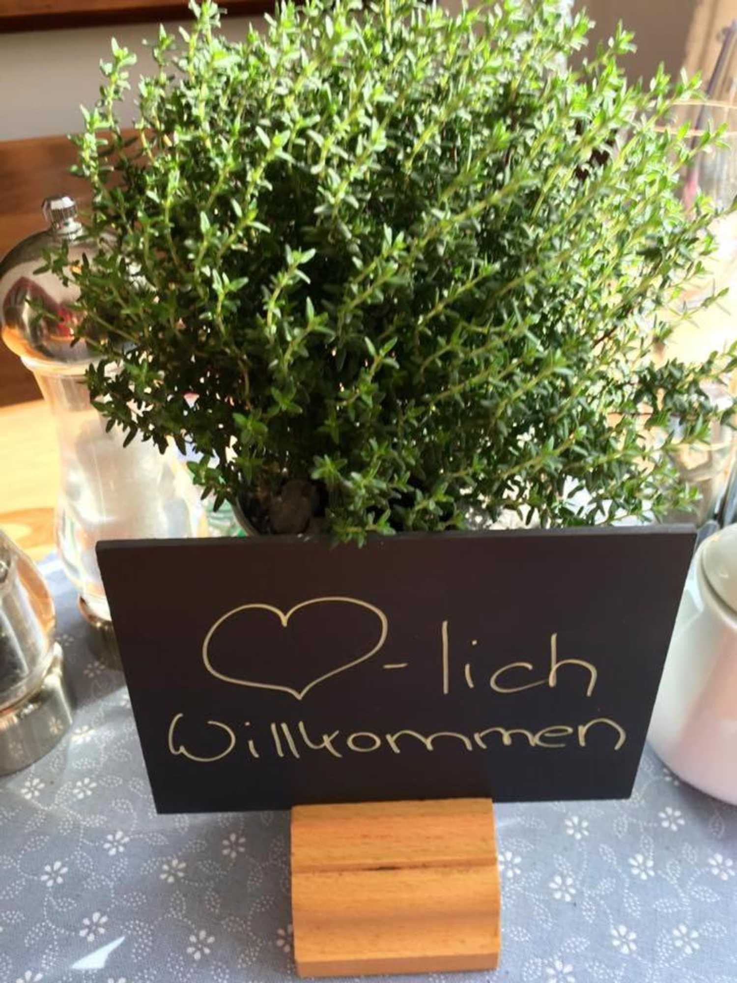 Gift card for Bürger- Und Berggasthaus Scheibenberg