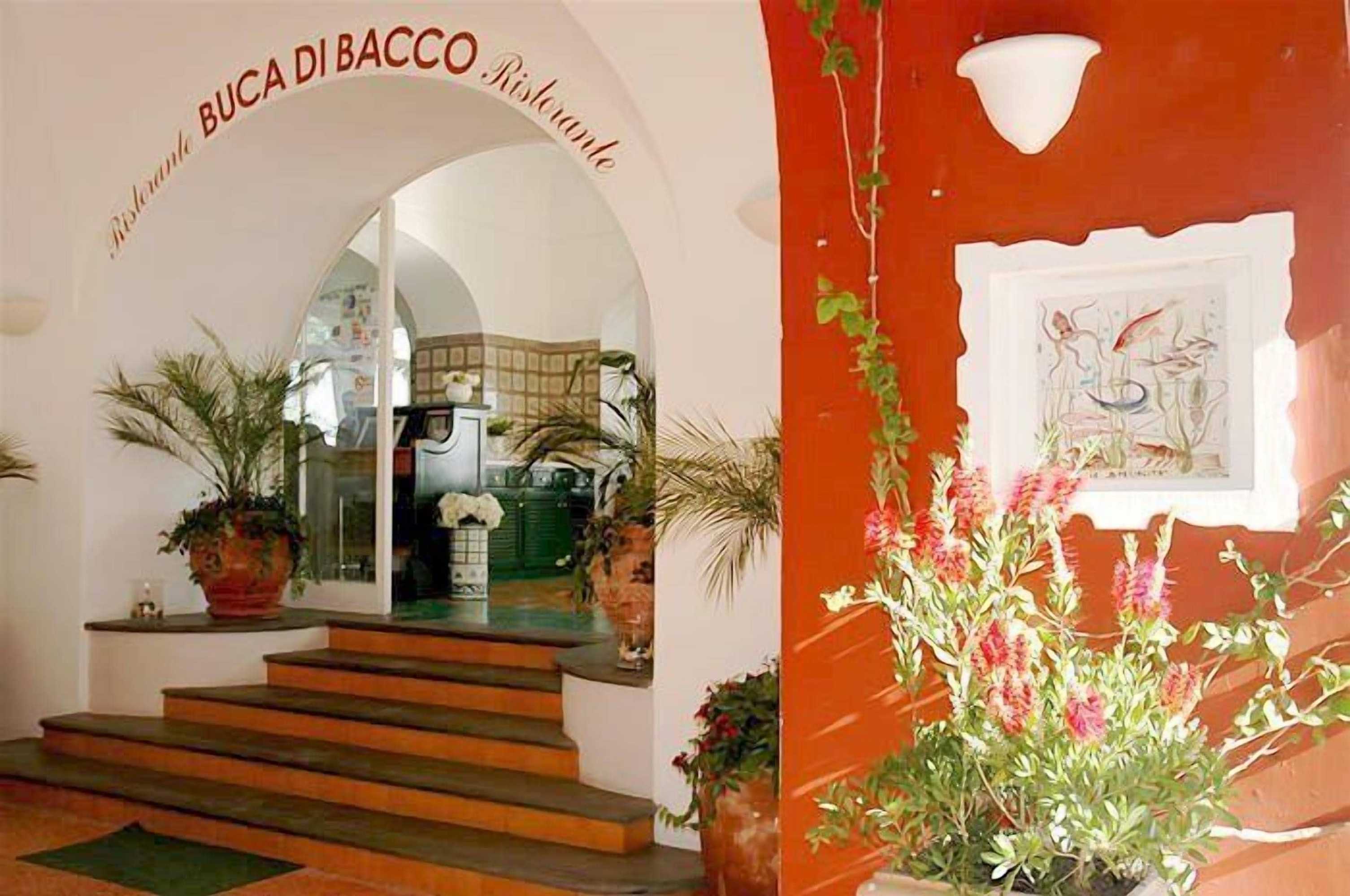 Gift card for Buca Di Bacco Gift card for Buca Di Bacco