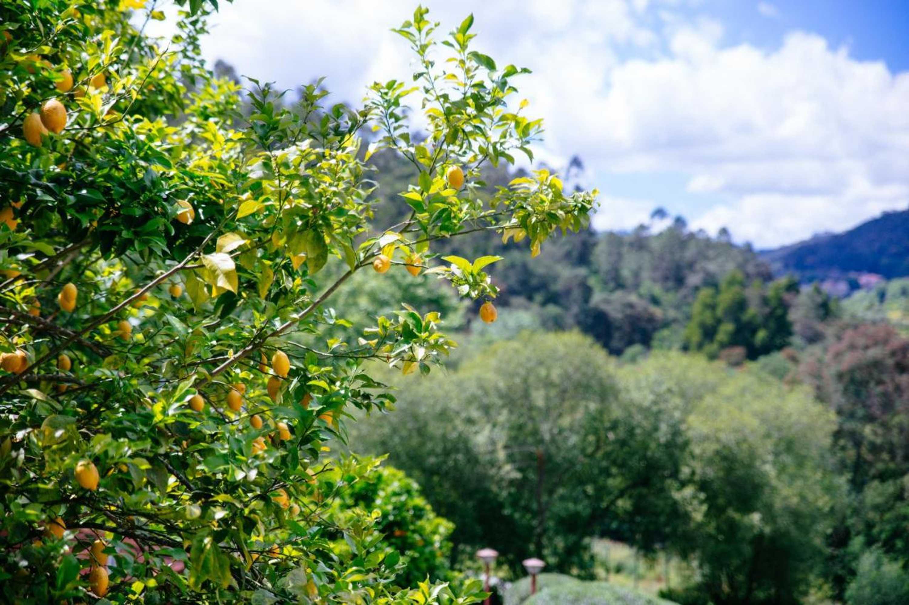 Gift card for Quinta do Rio Gerês