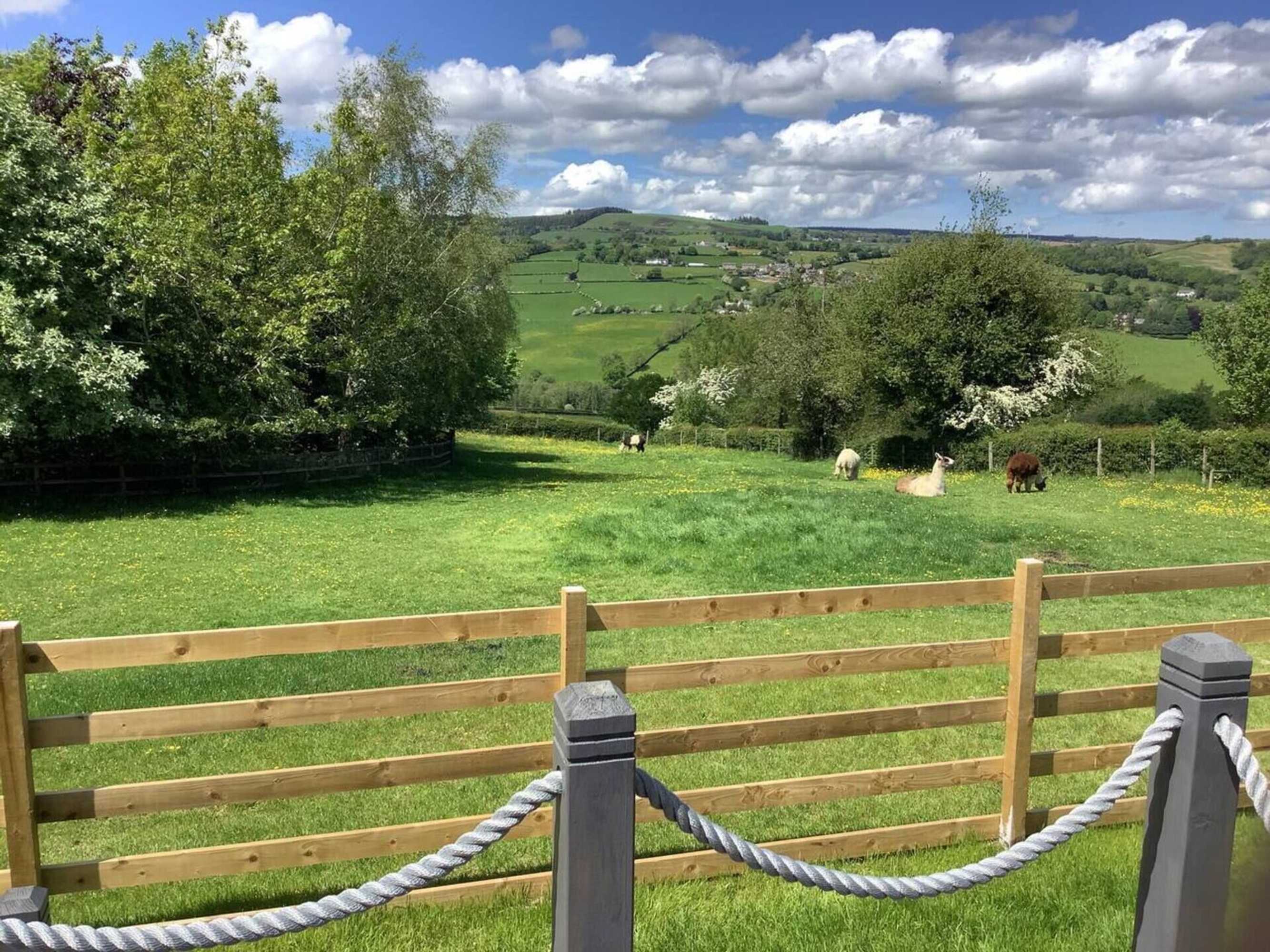 Gift card for The Shepherds Hut at Hafoty Boeth