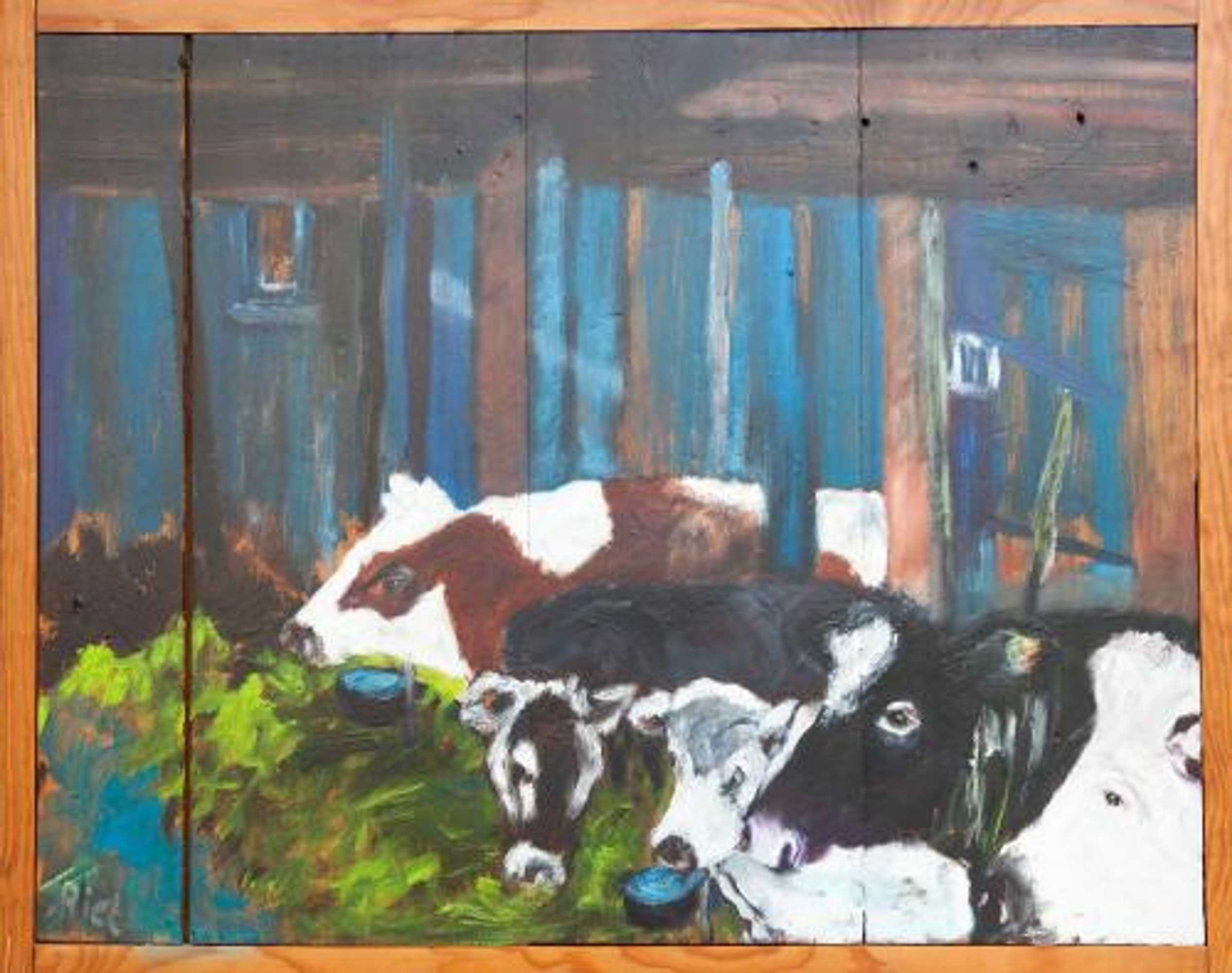 Gift card for Farm Overleekerhoeve Gift card for Farm Overleekerhoeve