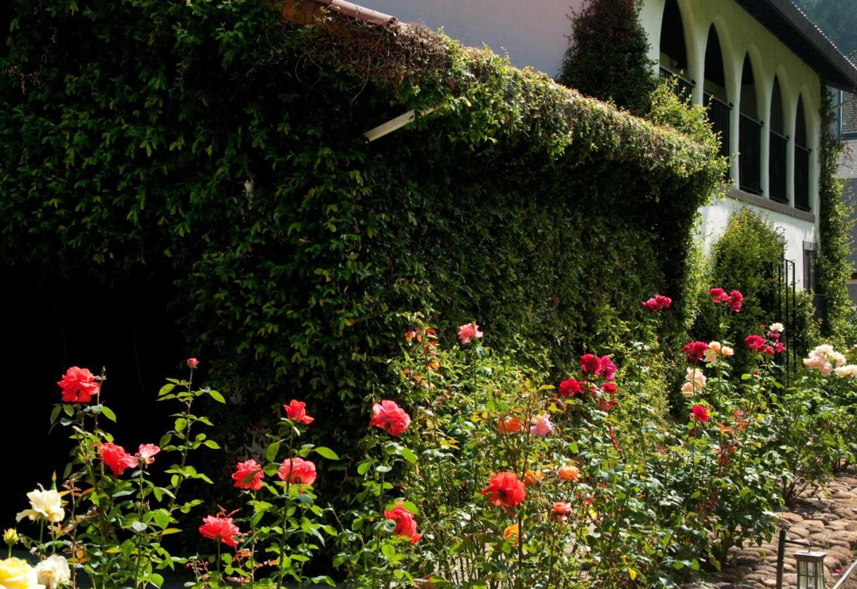 Gift card for Spanish Villa Inn