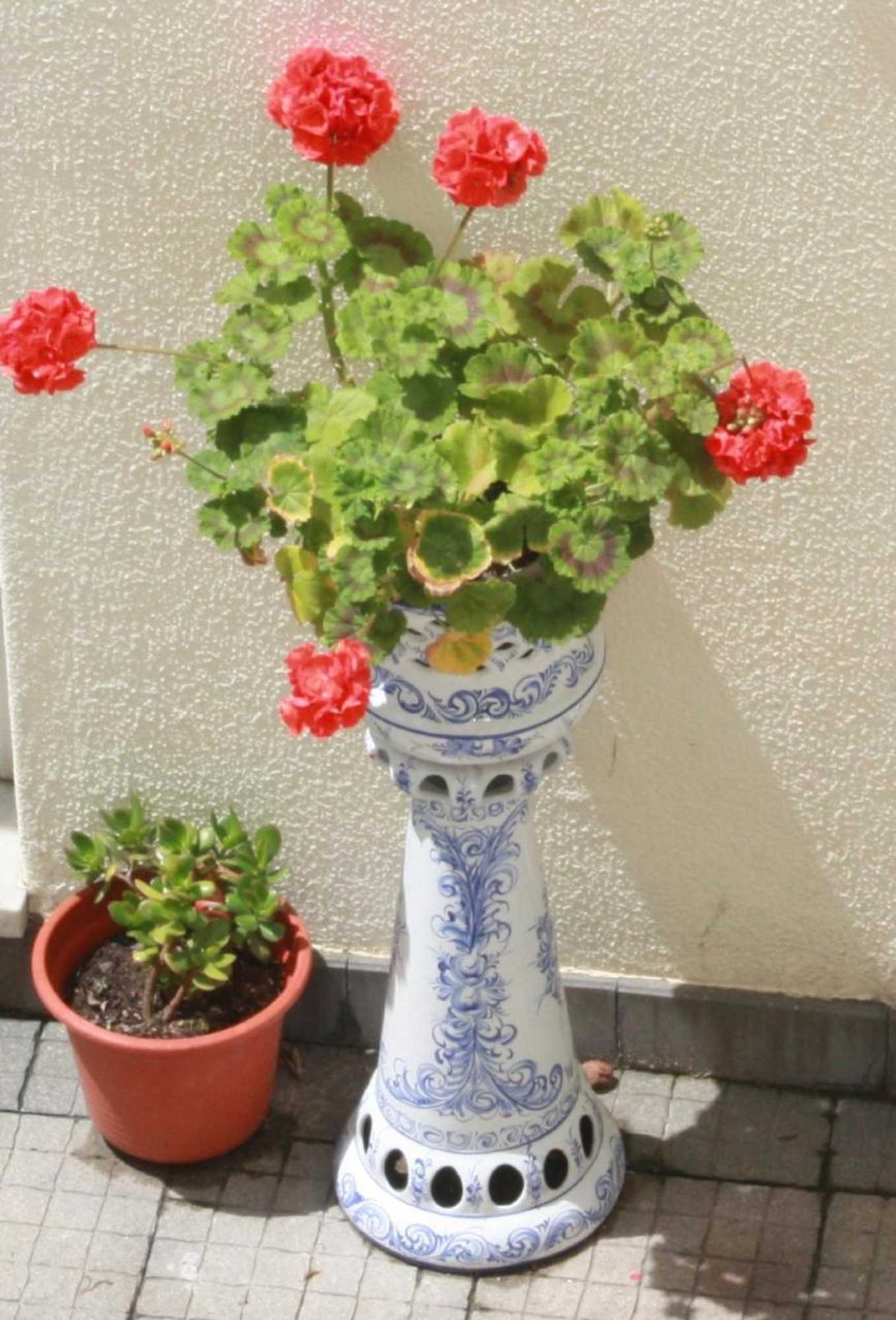 Gift card for Hotel Dona Leonor