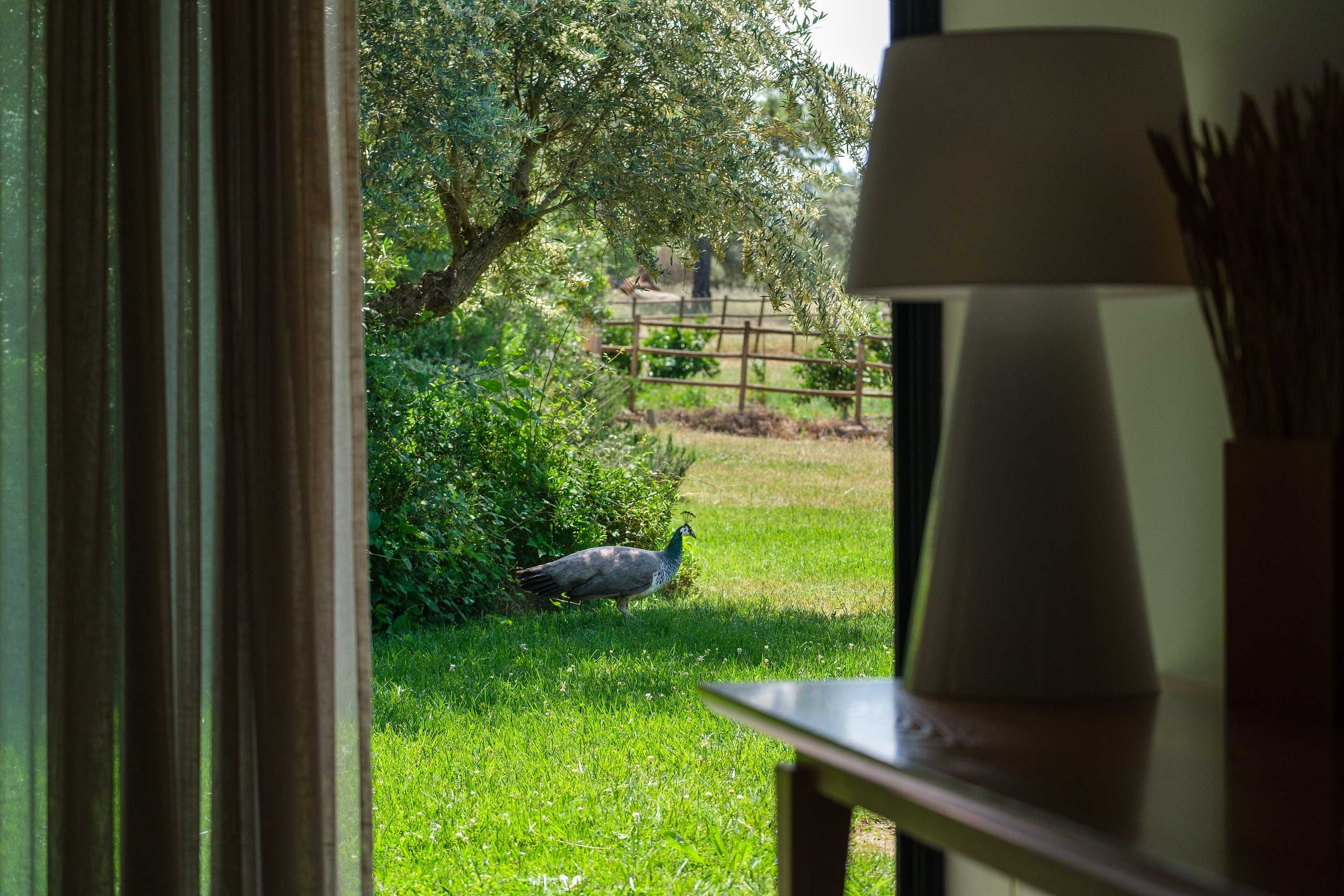 Gift card for Herdade Da Cortesia Hotel