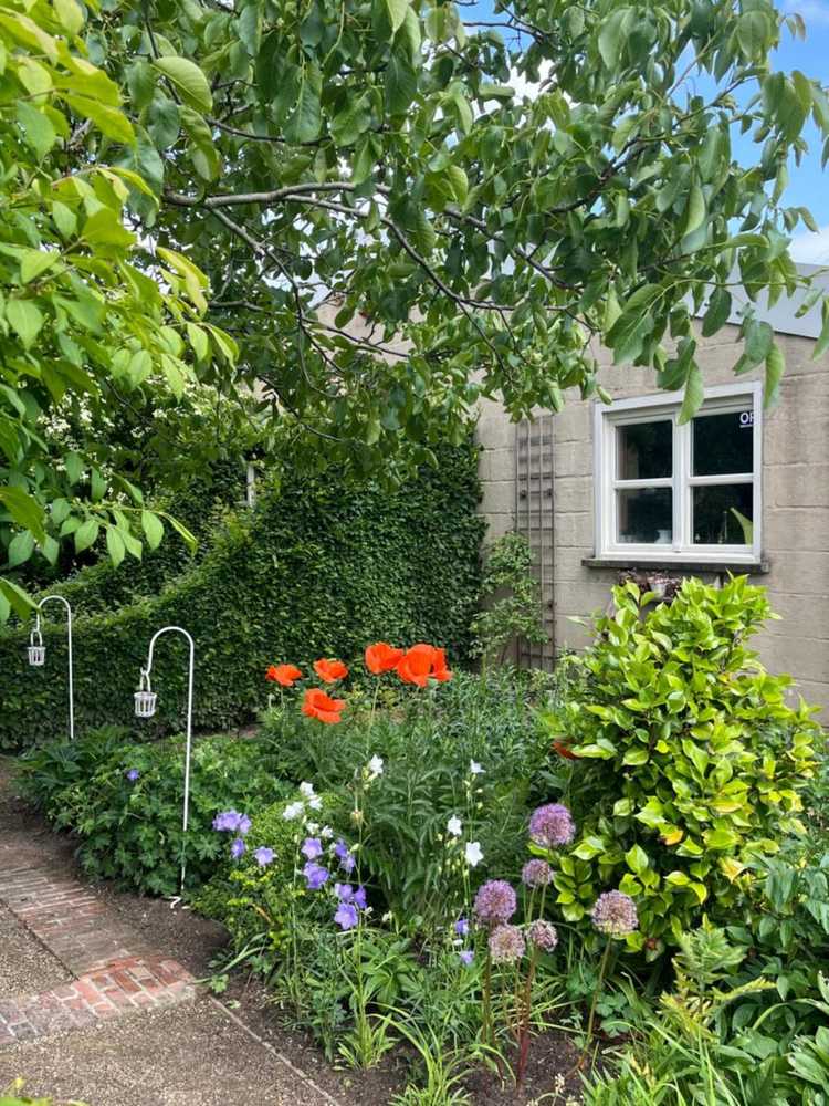Gift card for B&b Tuin Der Zinnen