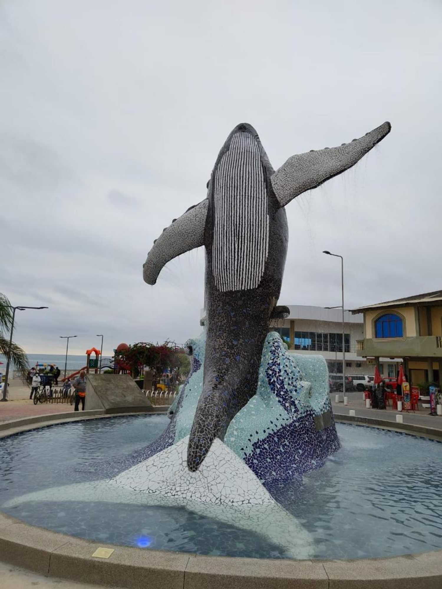 Gift card for Blackpoint