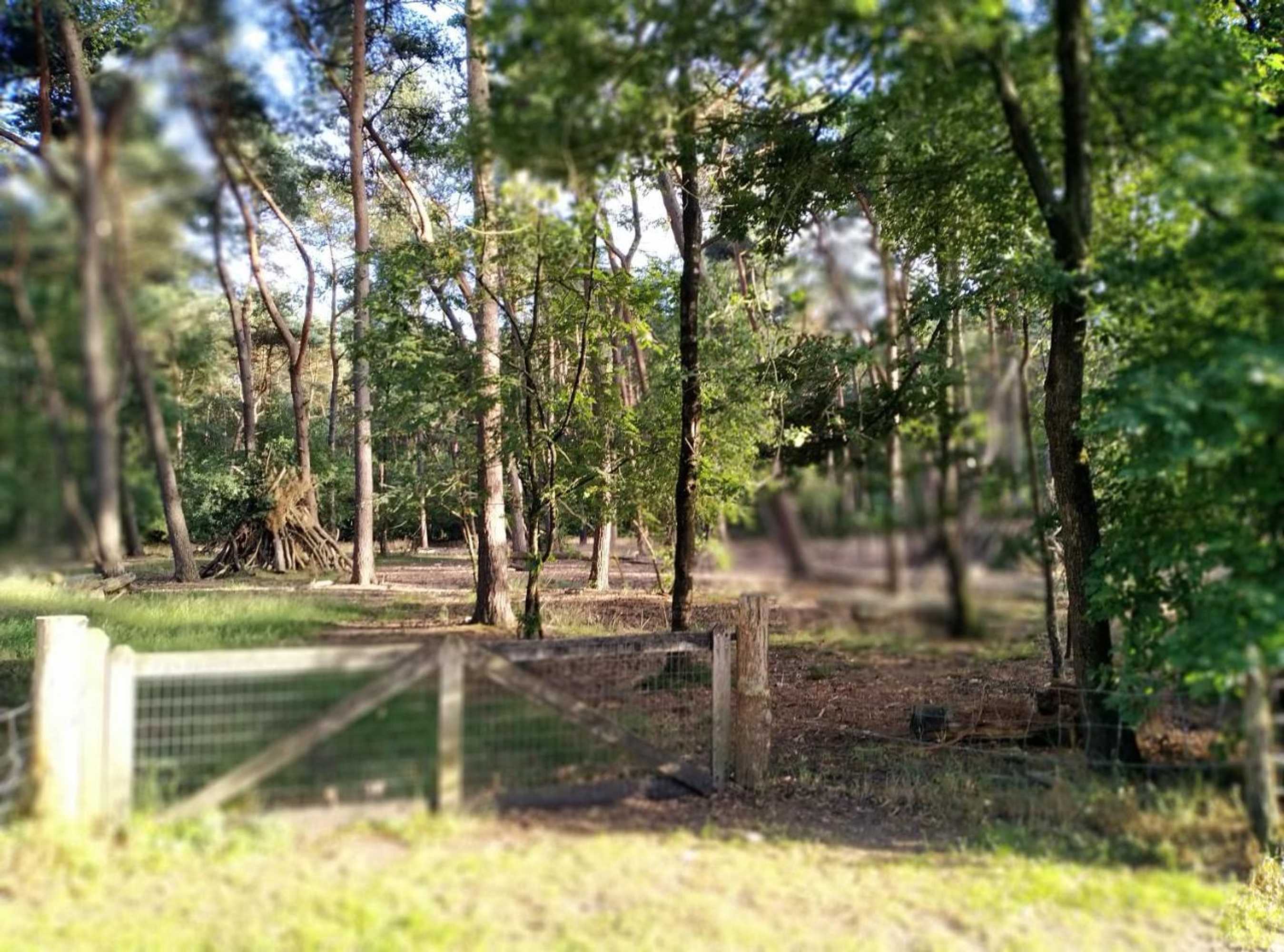 Gift card for De Stamper - De Wije Werelt