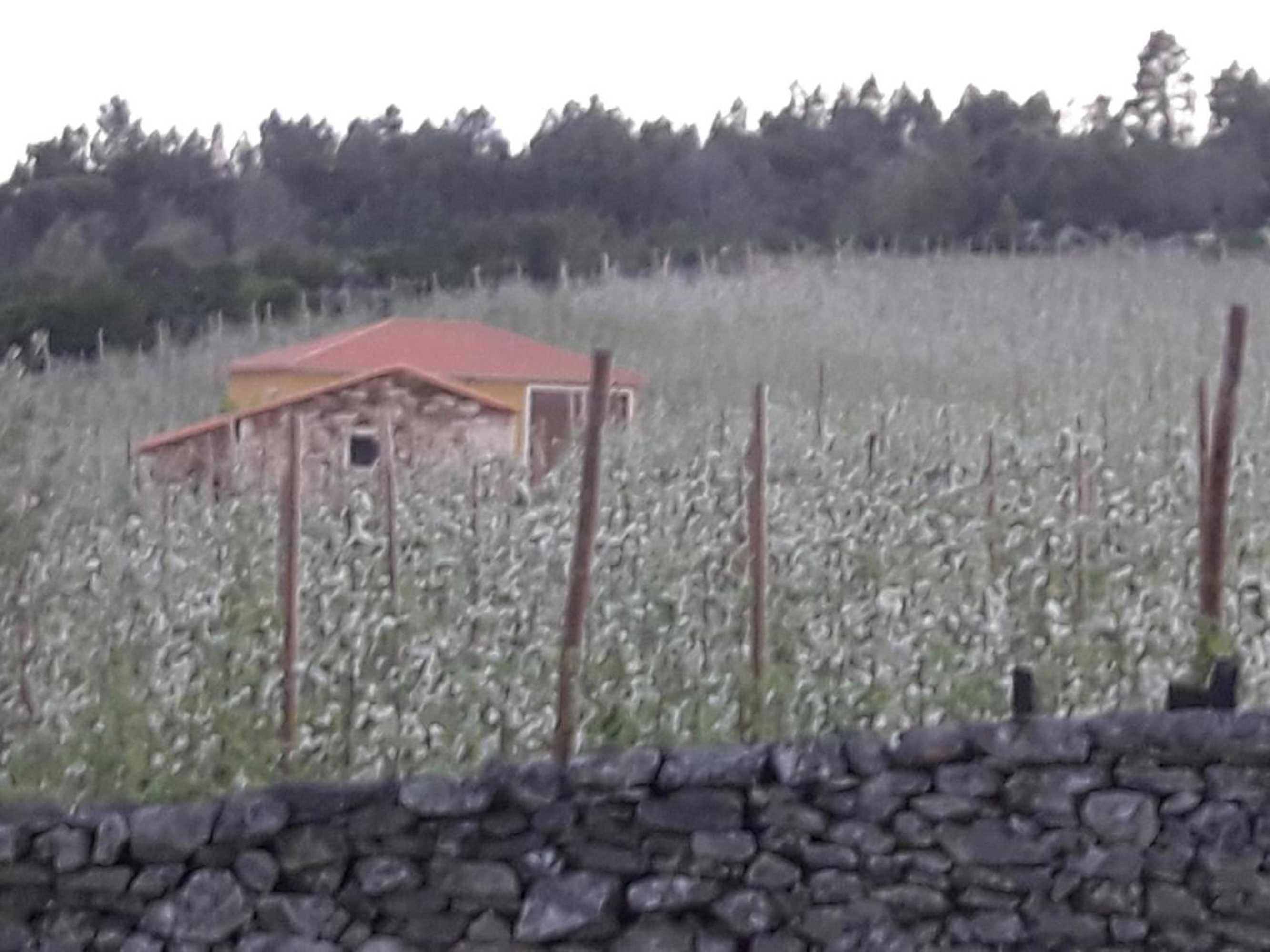 Gift card for Casa do Feitor - Douro - Quinta da Cabrida Gift card for Casa do Feitor - Douro - Quinta da Cabrida