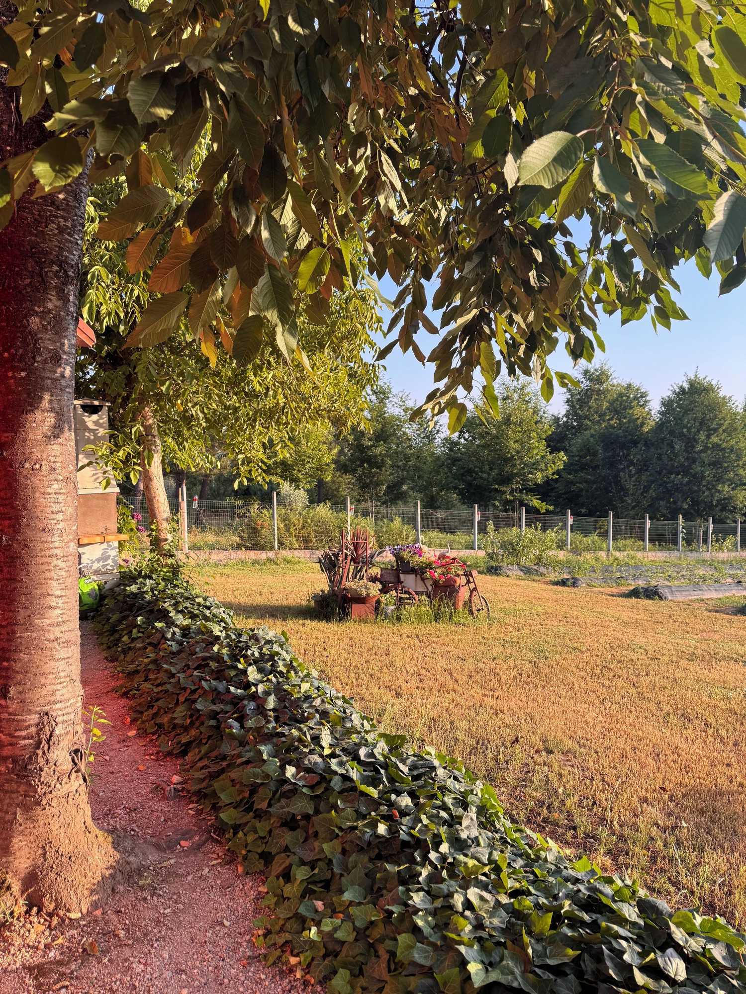 Gift card for Quinta Vale Salgueiro