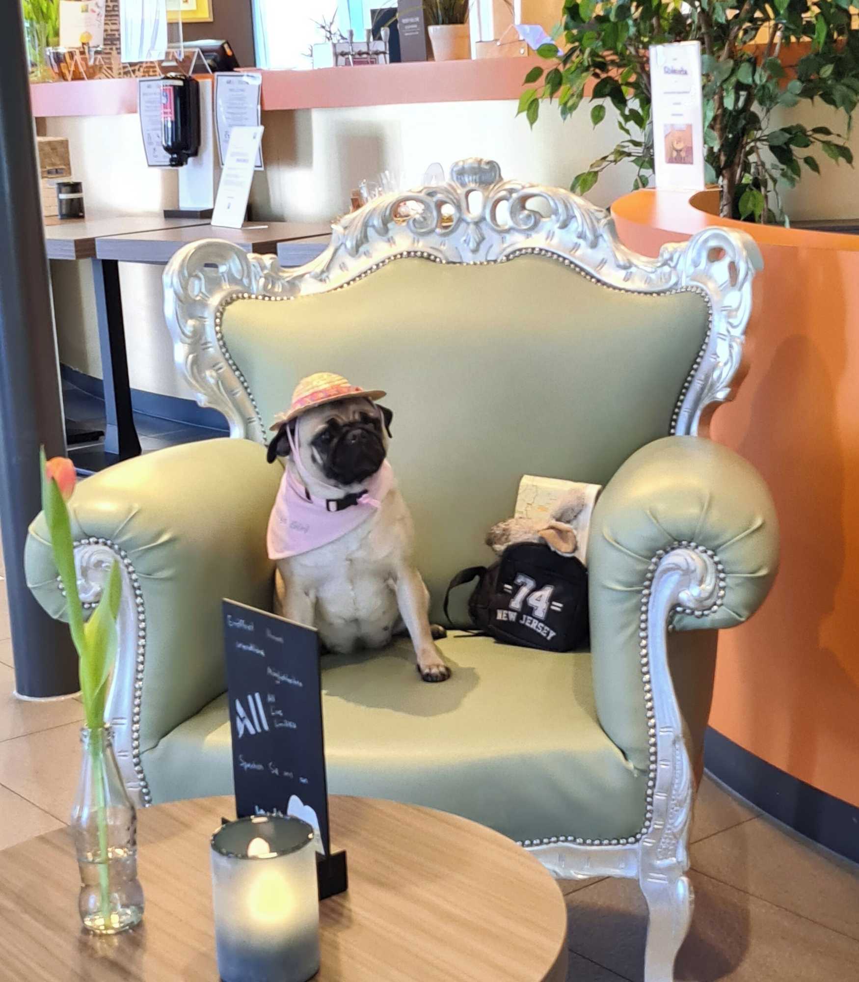 Gift card for Ibis Styles Speyer