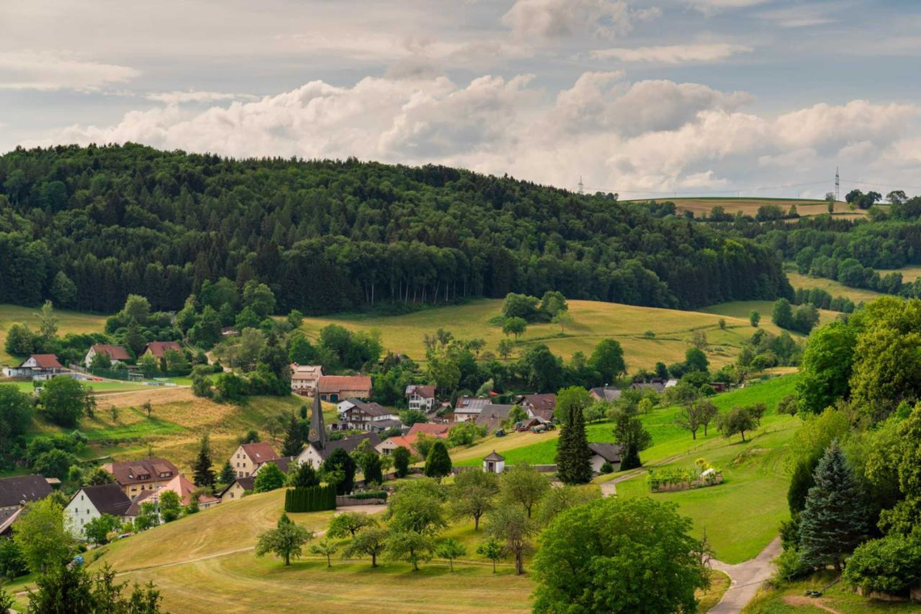 Gift card for Gengs Linde