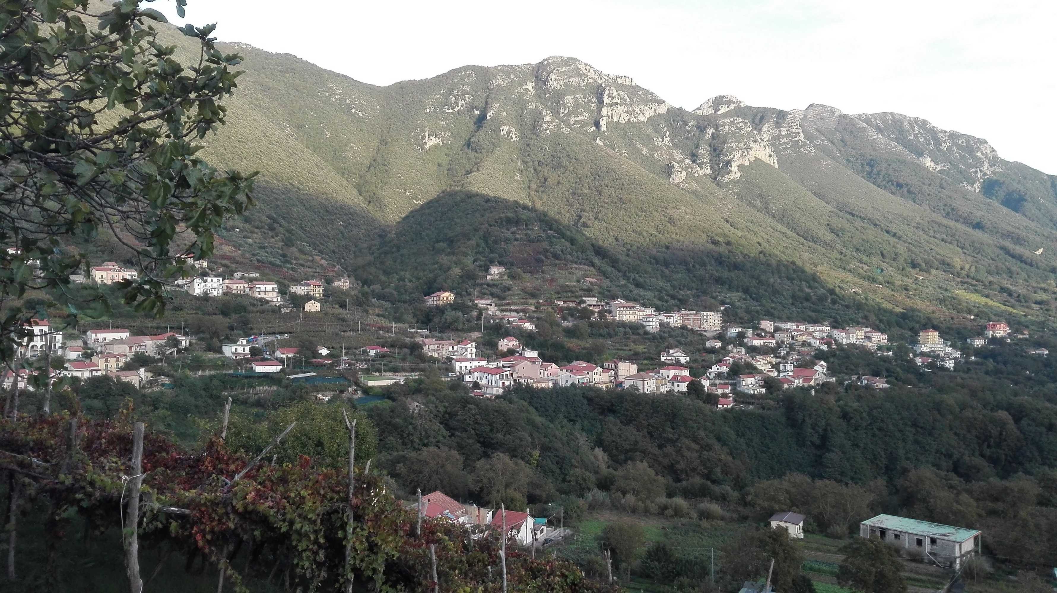 Gift card for Agriturismo Mare e Monti Gift card for Agriturismo Mare e Monti