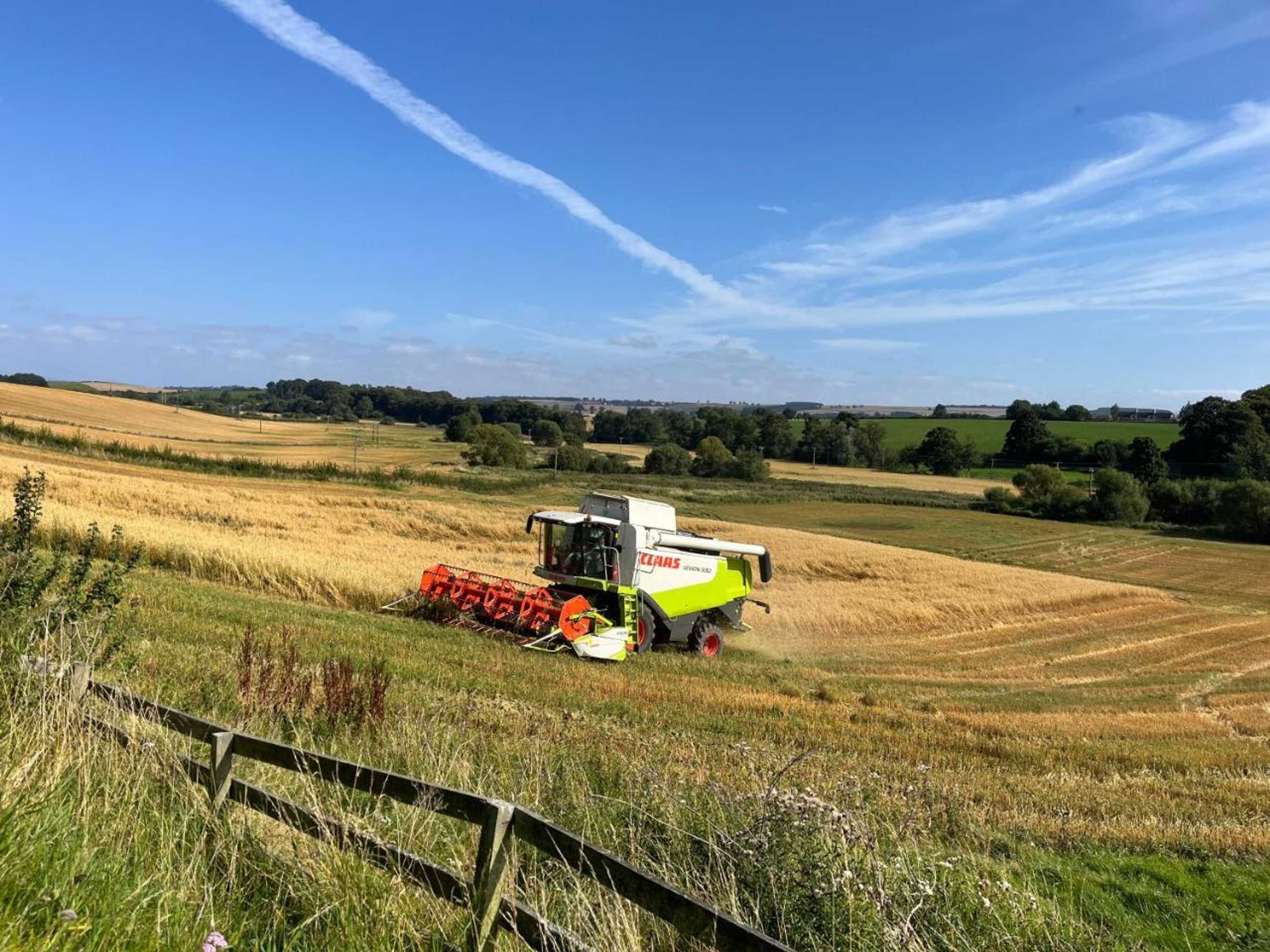 Gift card for Plumtree Cottage