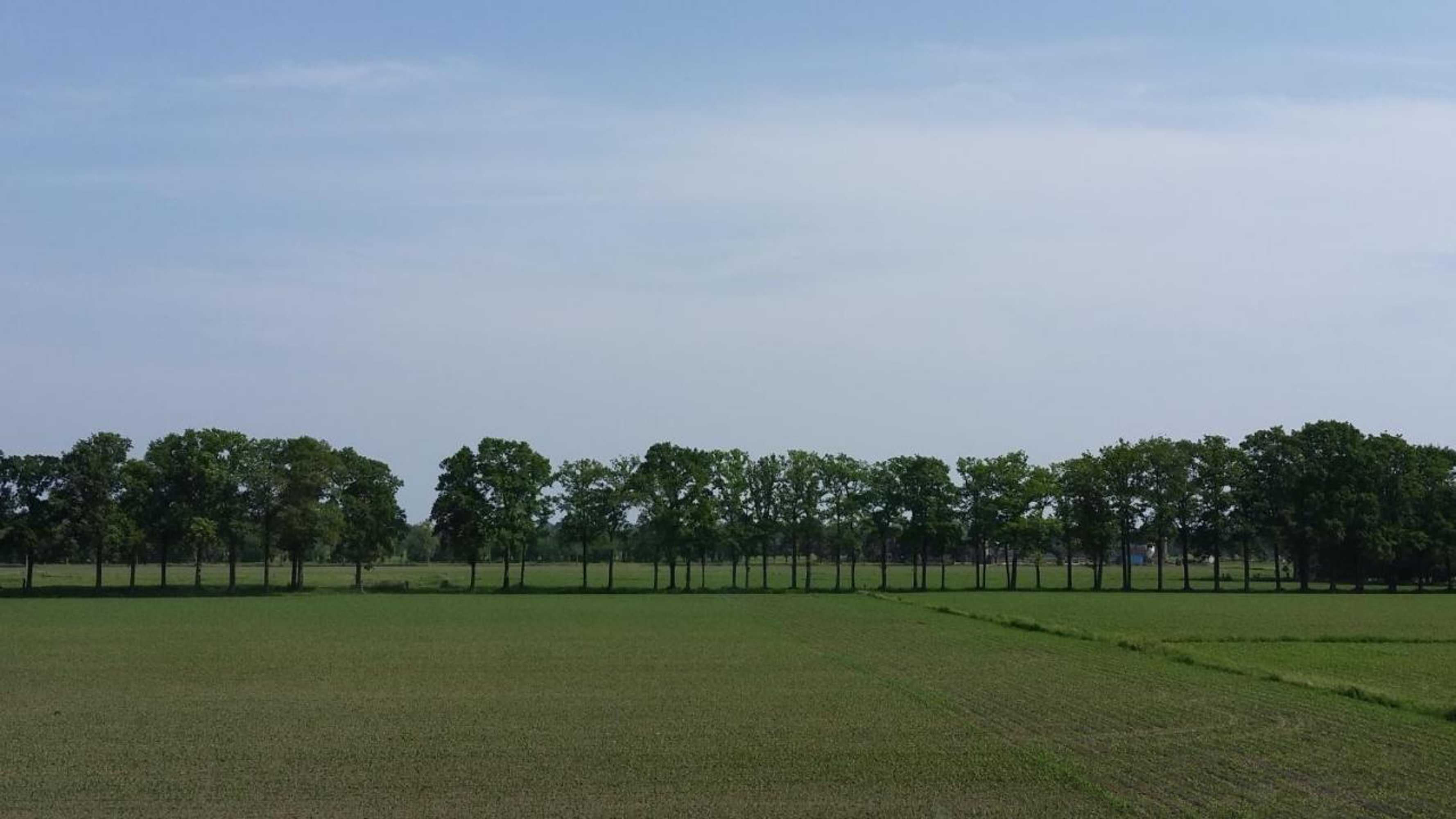 Gift card for B&b Manege Groenewoude