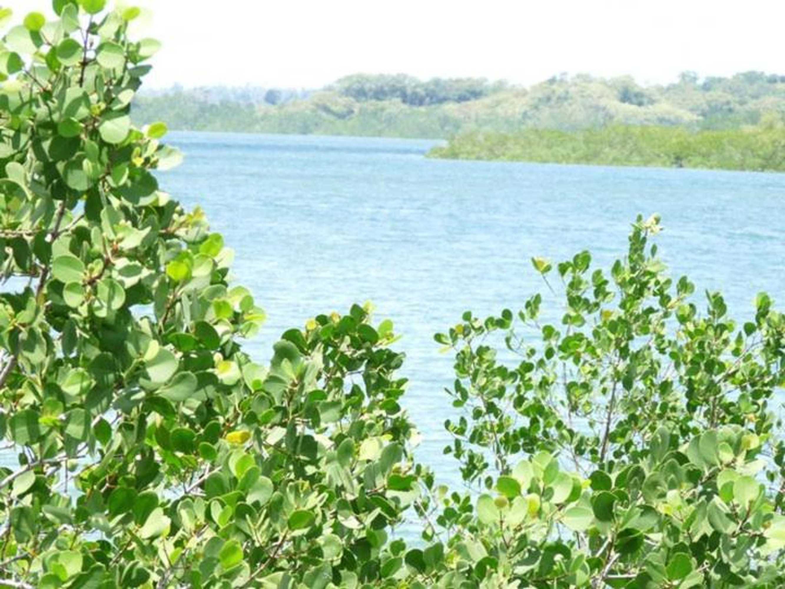 Gift card for Pemba Misali Sunset Beach