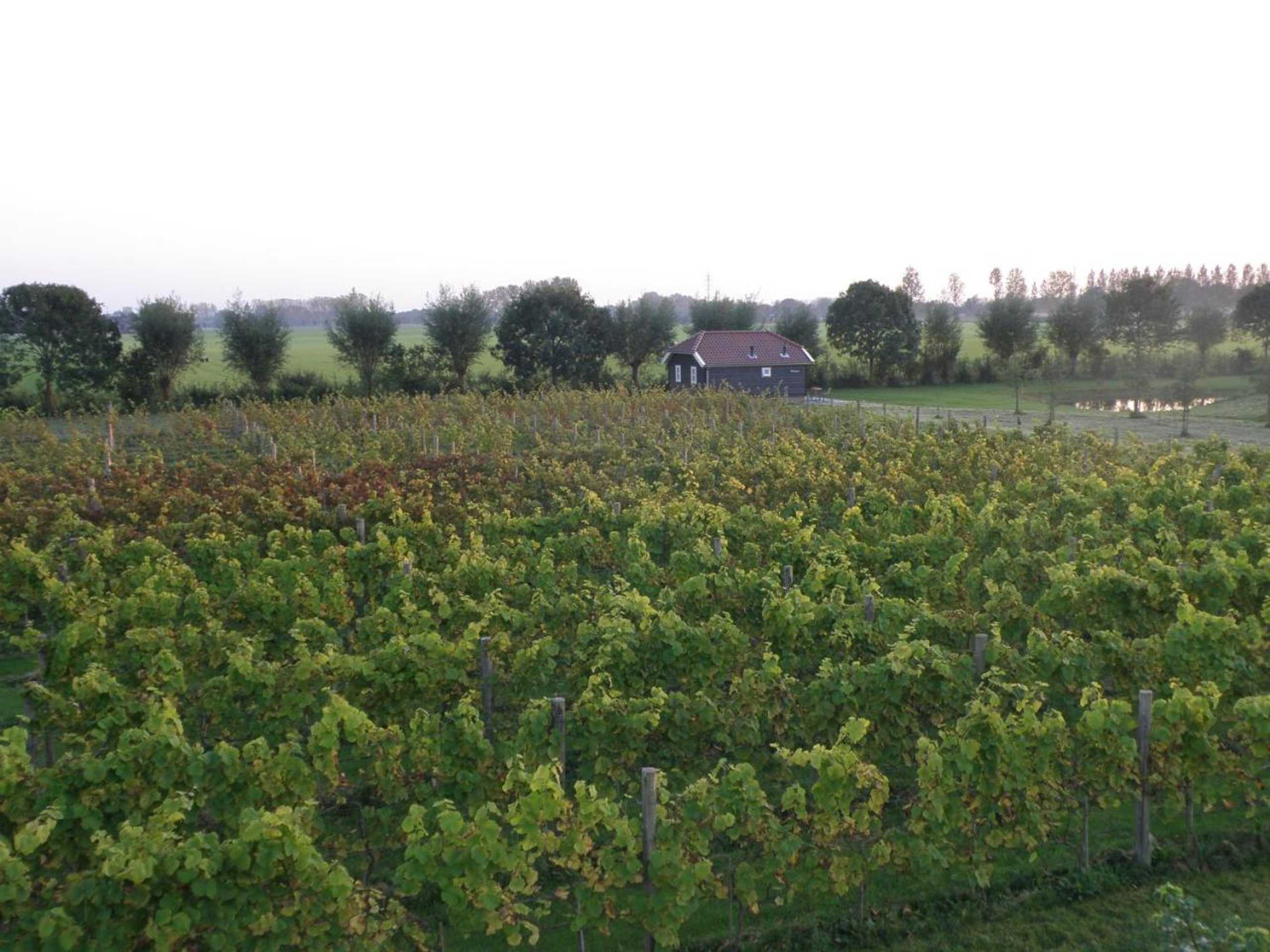 Gift card for Park Nieuwgrapendaal