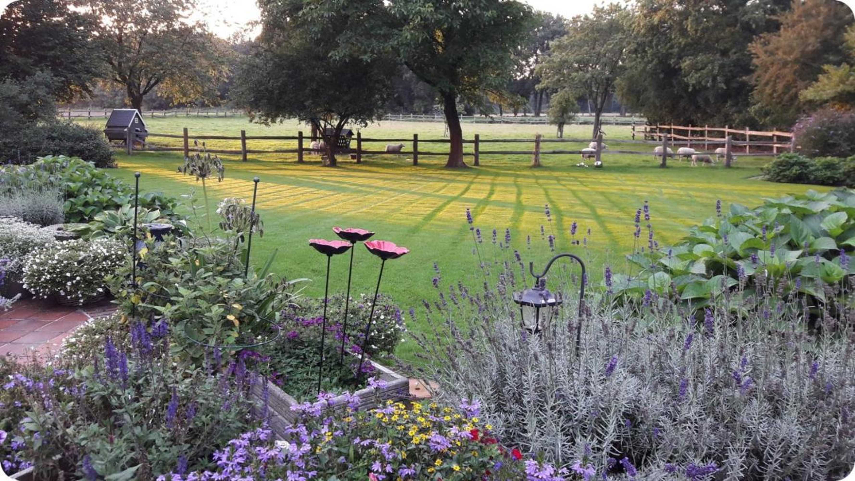 Gift card for Het Geheim Van Merselo