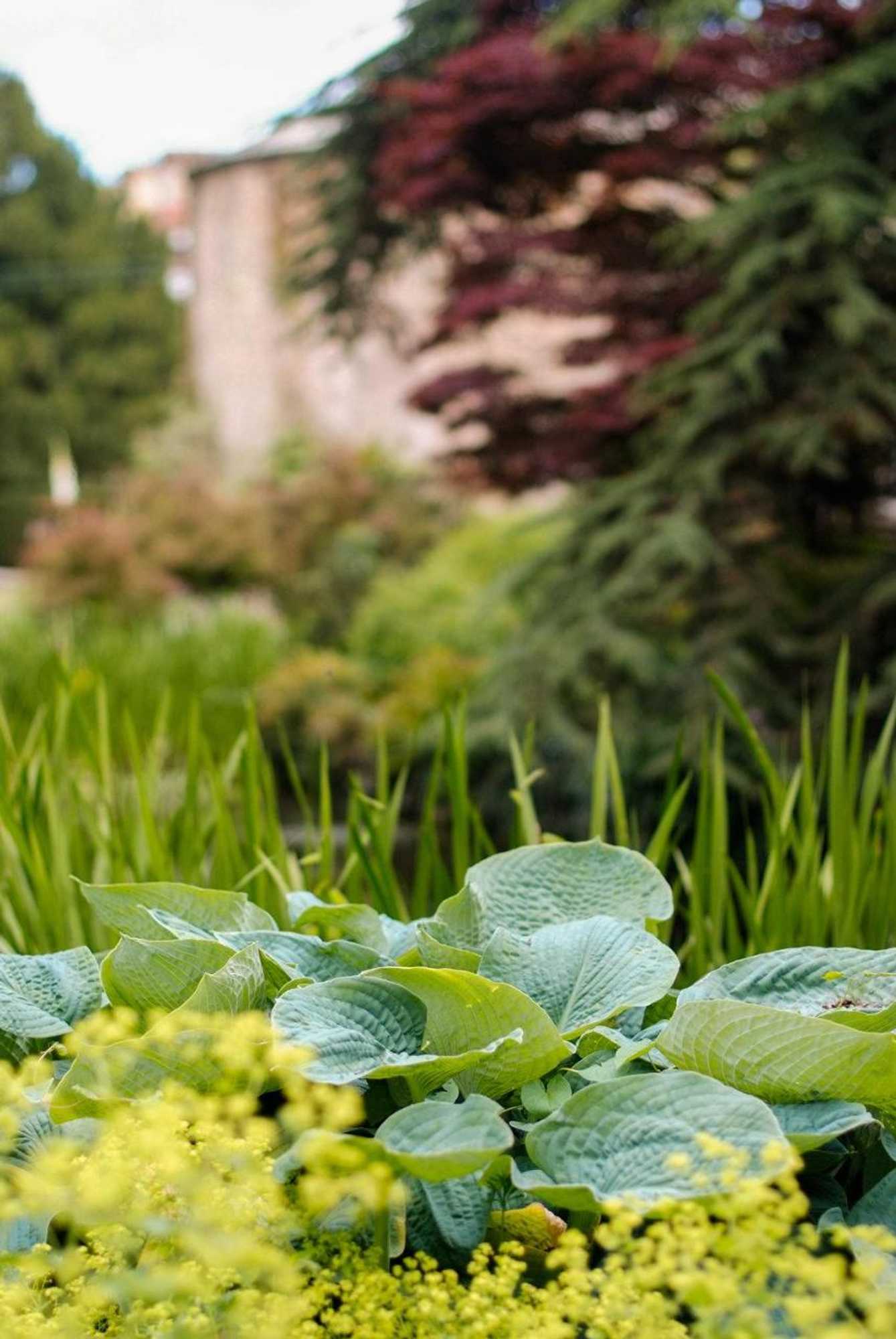 Gift card for Saltmarshe Hall