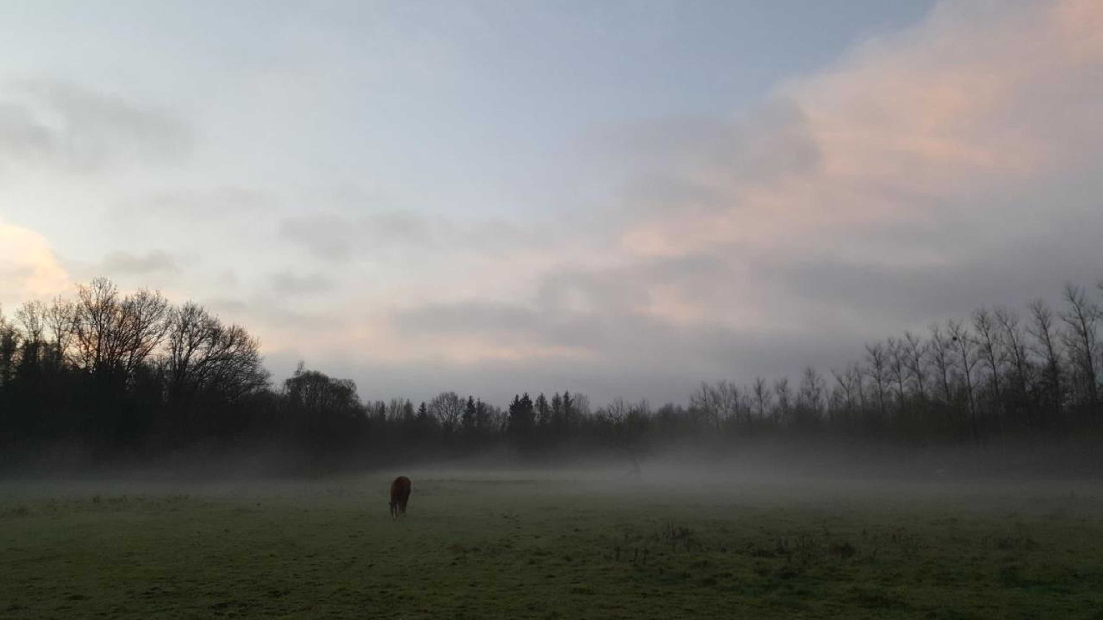 Gift card for Leybeeckhof Bed And Breakfast