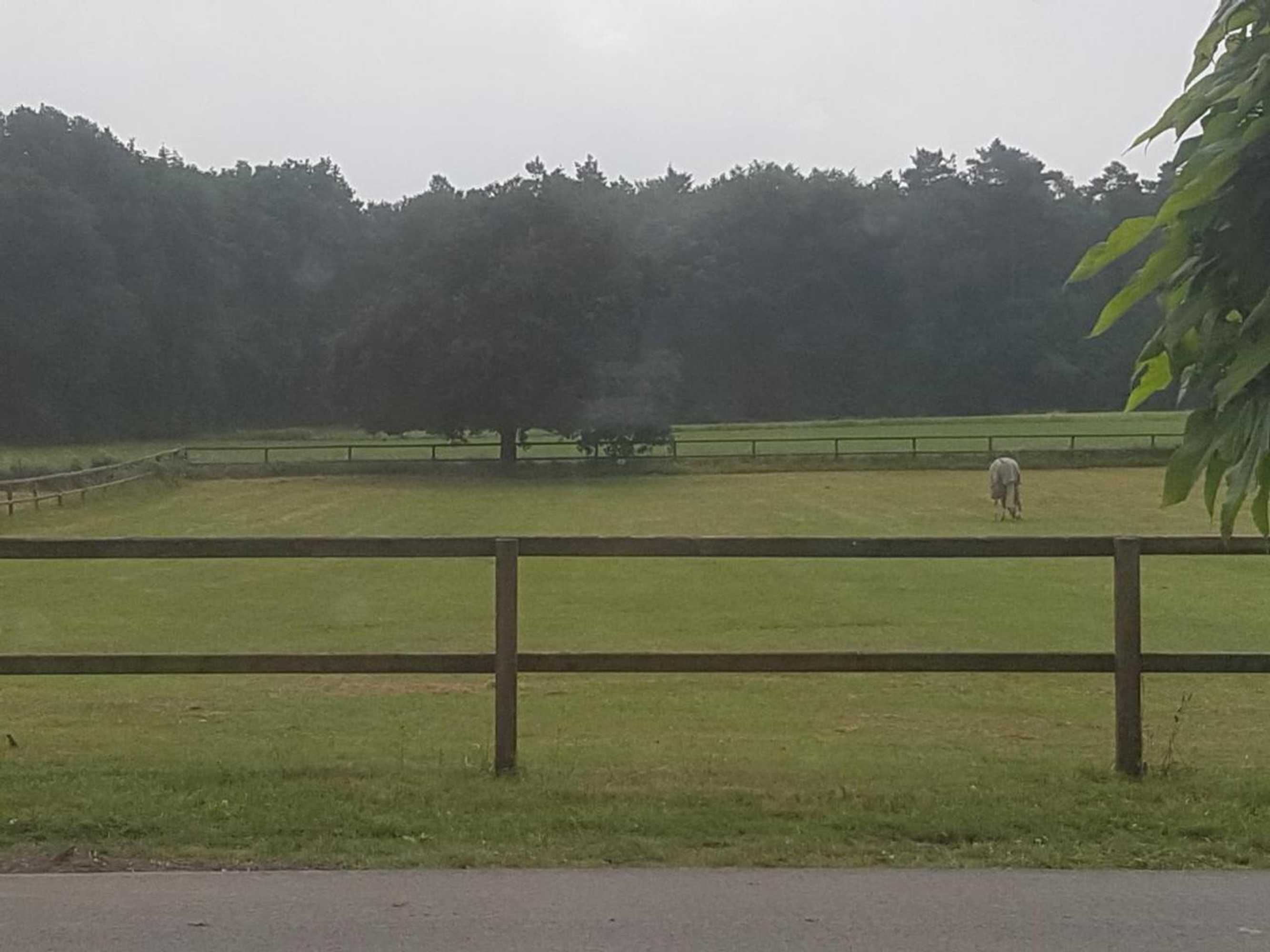 Gift card for B&b Het Bakhuis