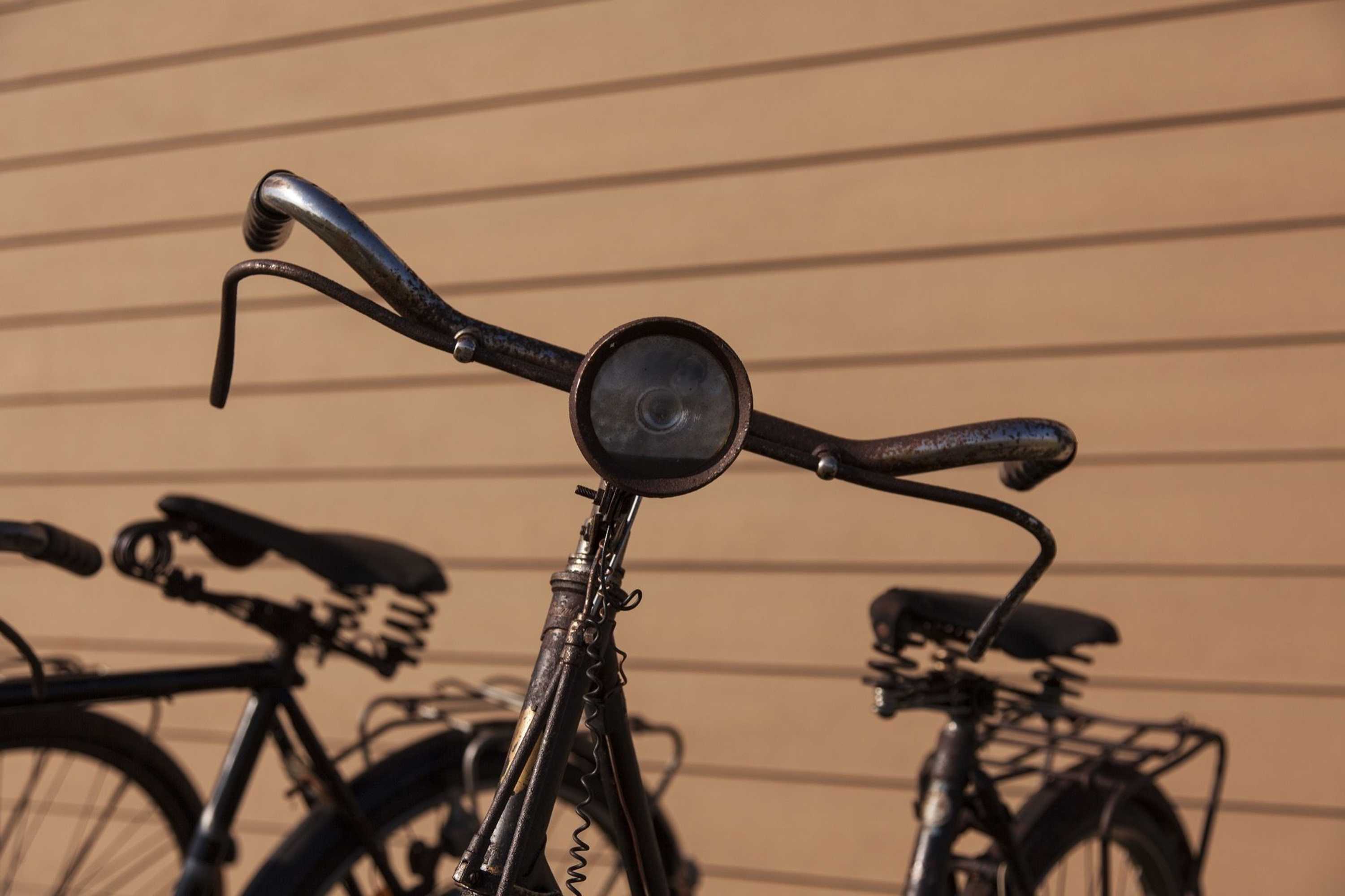 Gift card for Be & See in Nature