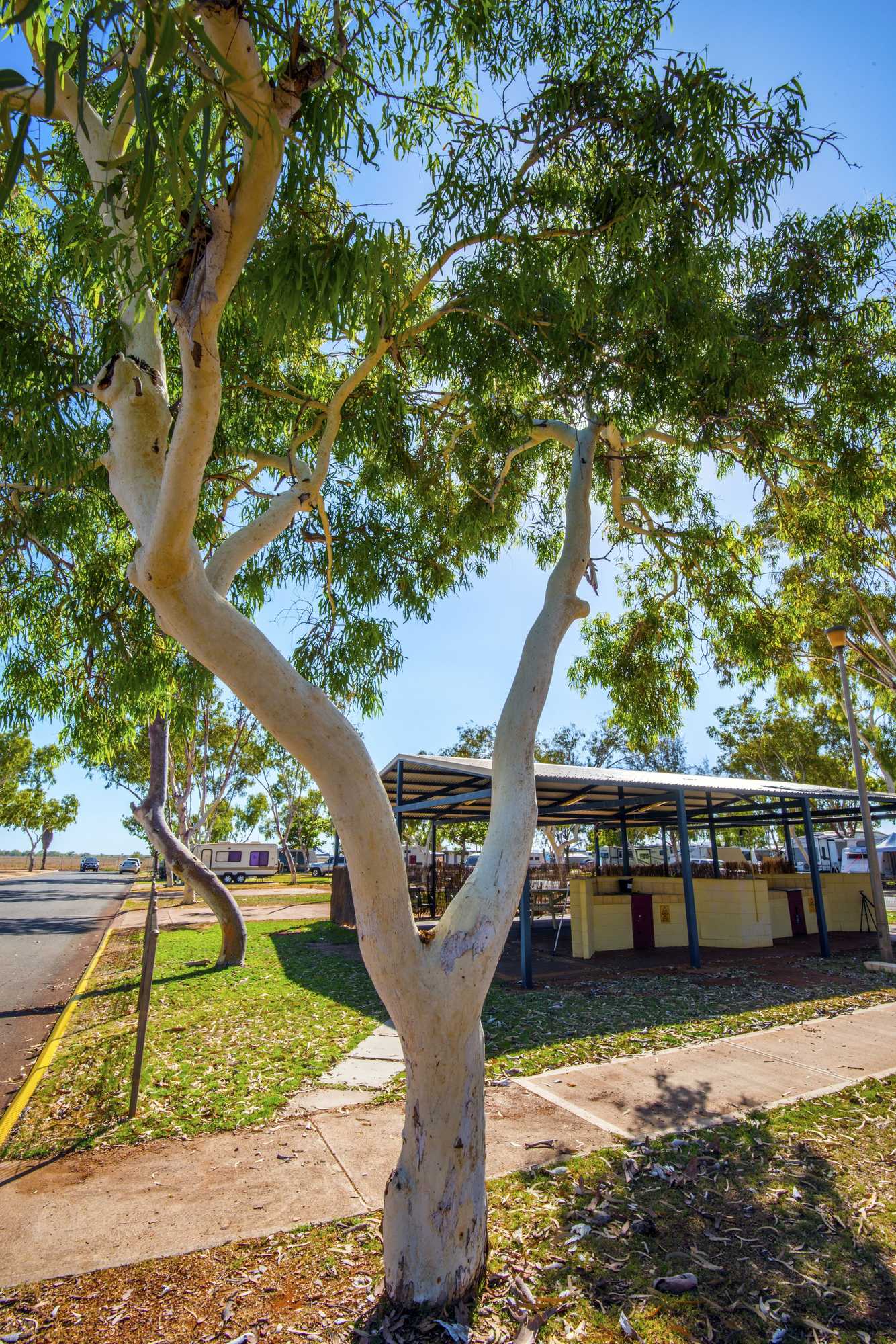 Gift card for Discovery Parks - Balmoral Karratha Gift card for Discovery Parks - Balmoral Karratha