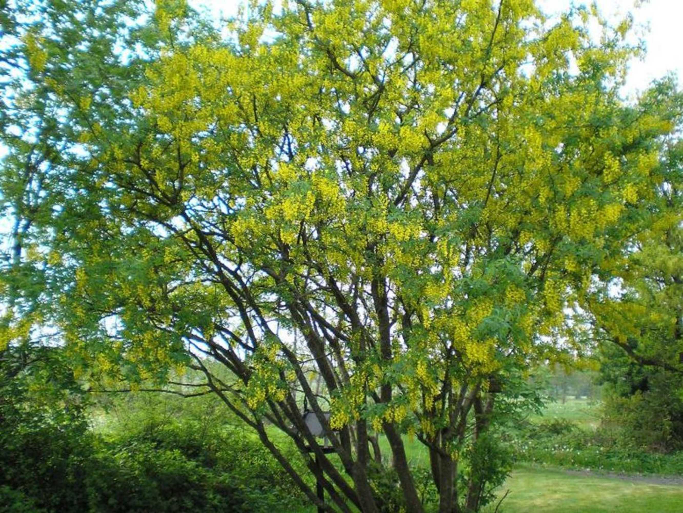 Gift card for De Vuurplaats