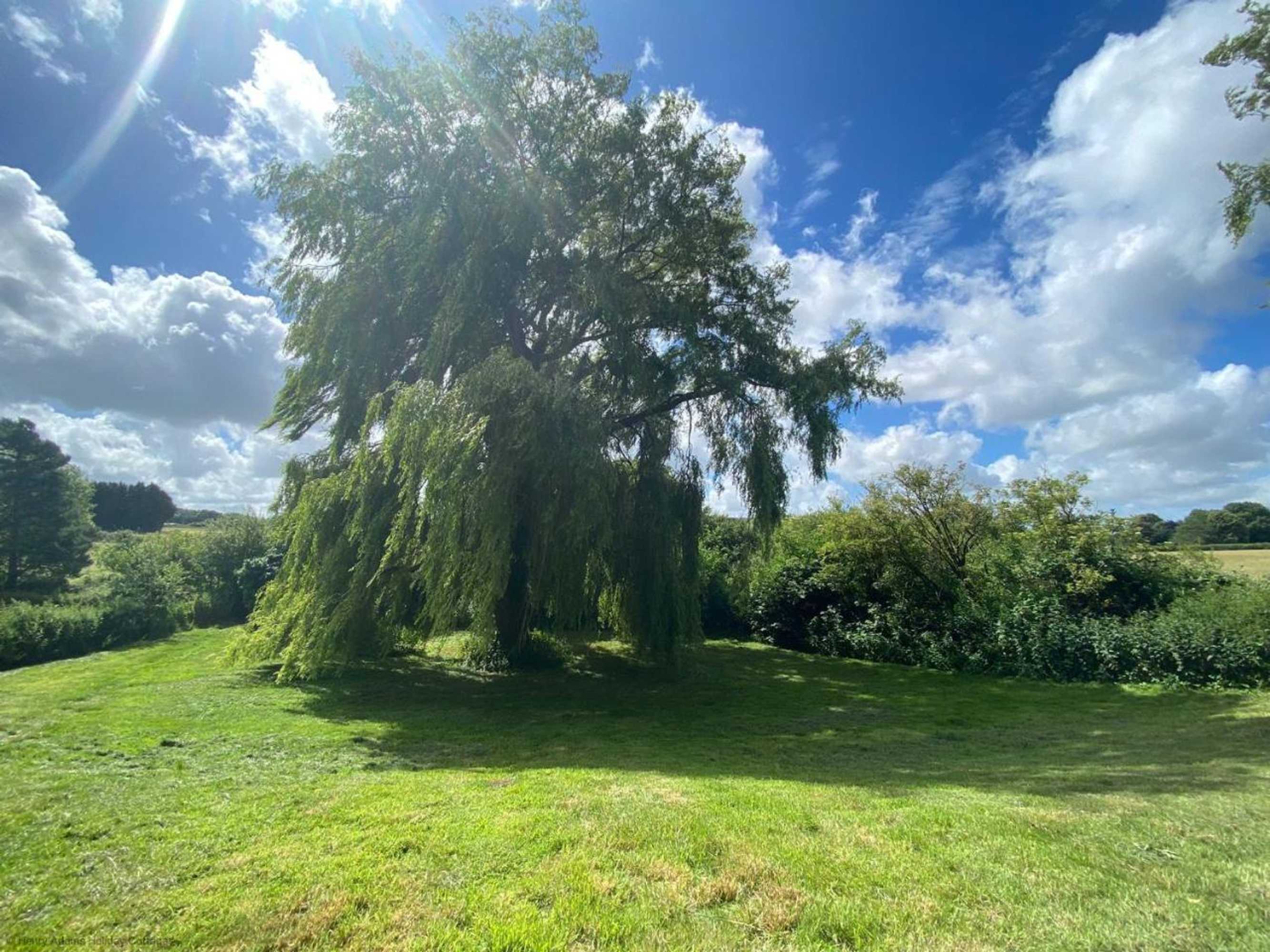 Gift card for Vane Cottage