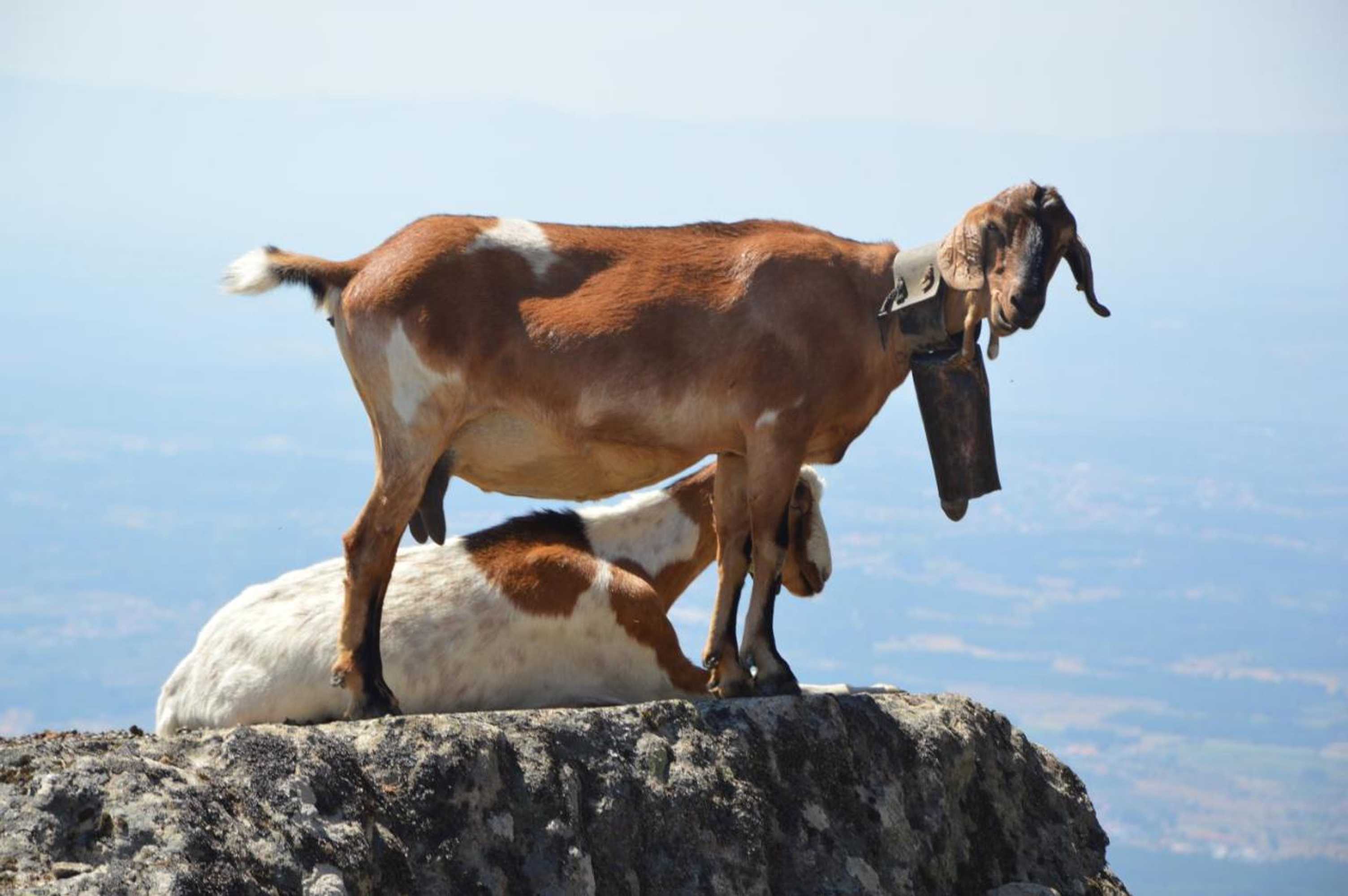 Gift card for Residencial Mira-Sol