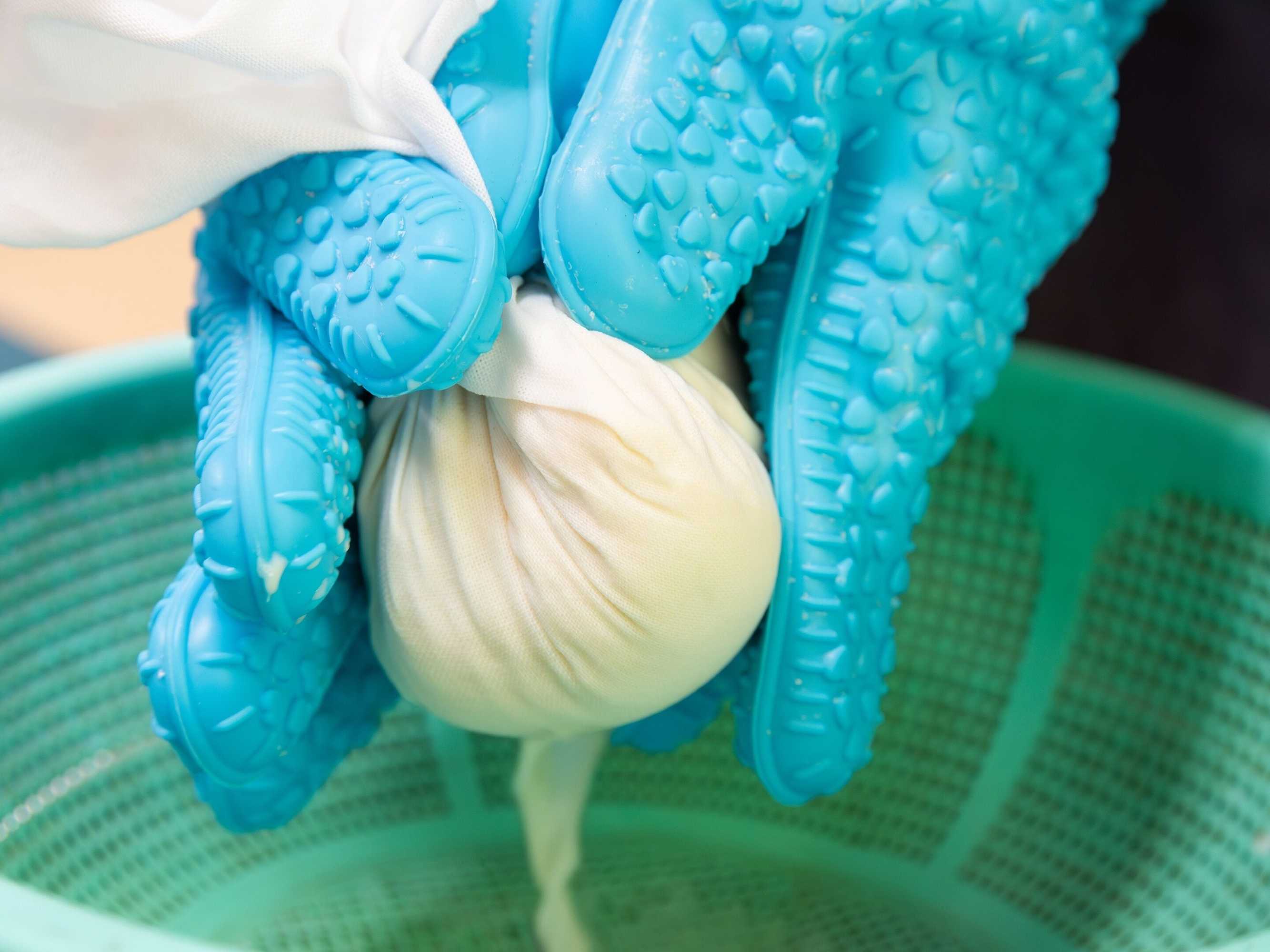 Gift card for Togakubo