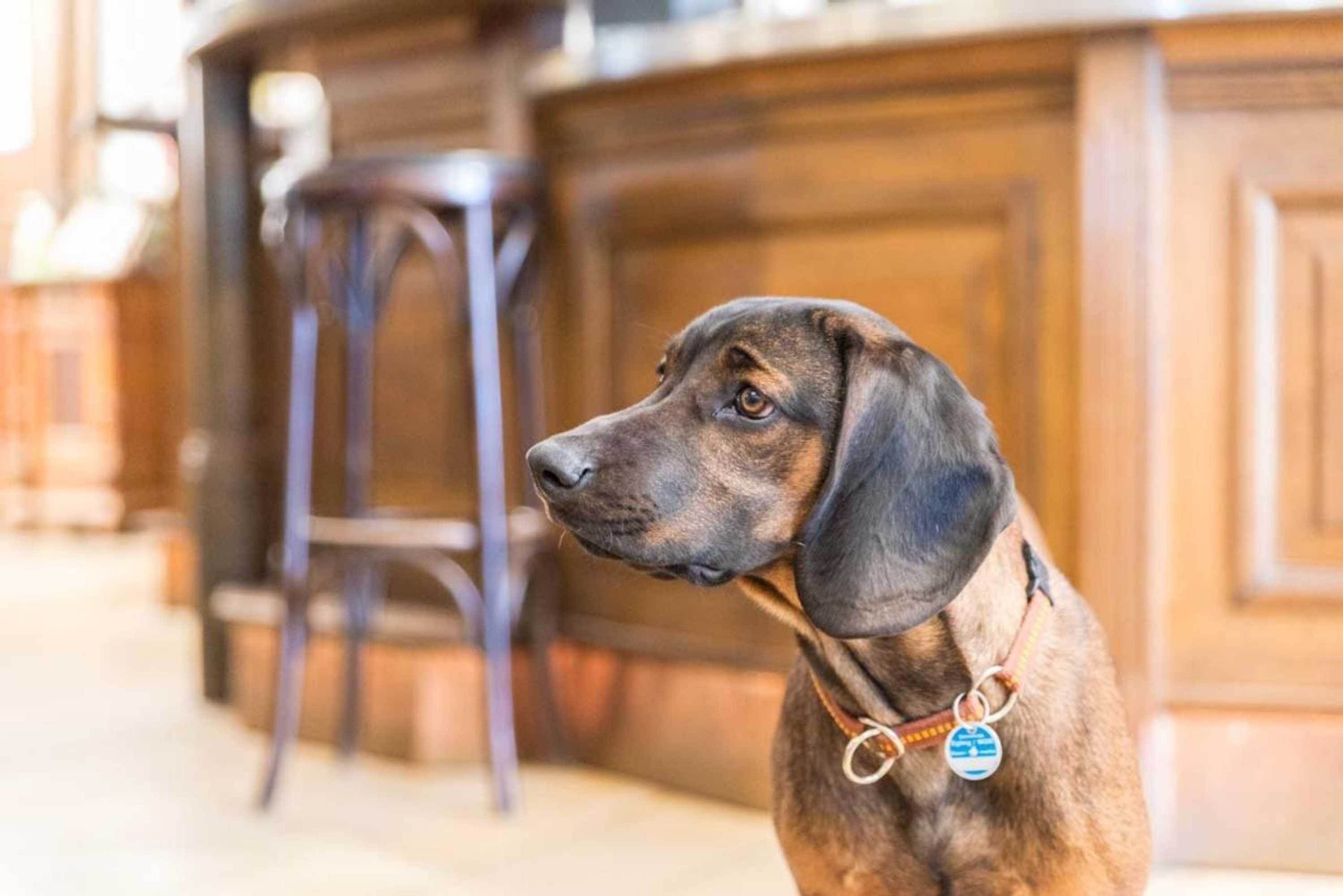 Gift card for Metzgerei Gasthof Oberhauser - Hotel Zur Post