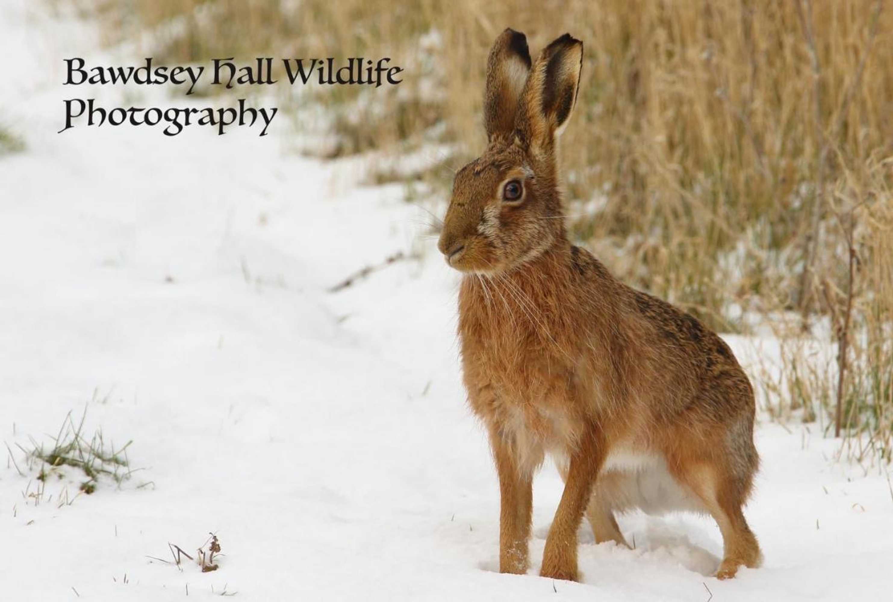 Gift card for Bawdsey Hall